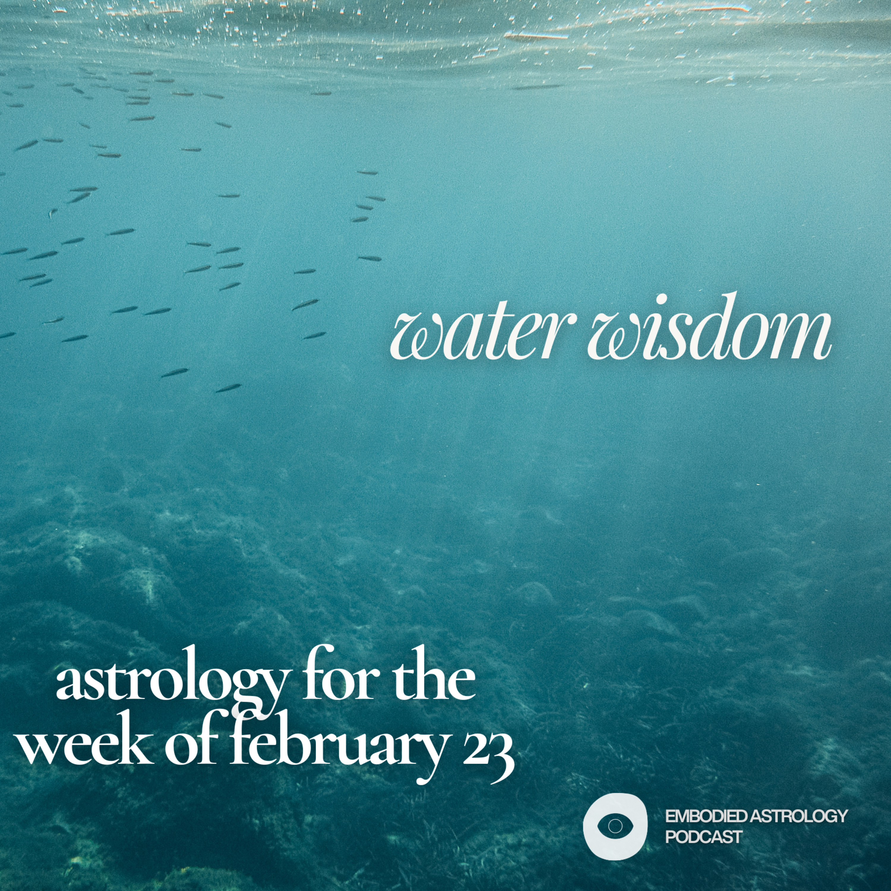 Astrology for the Week of Feb 23, 2026