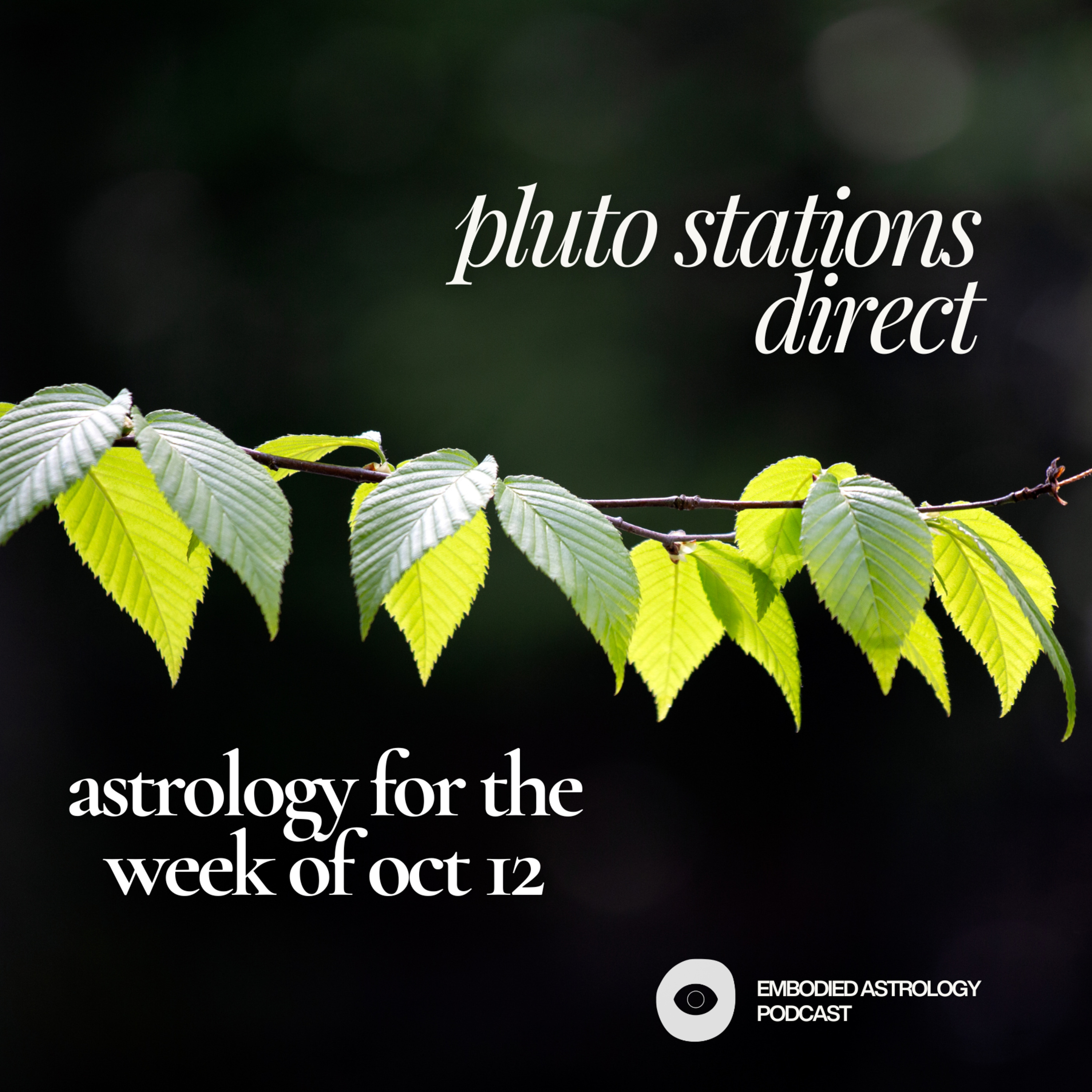 Pluto Stations Direct: Astrology for the Week of Oct 12, 2026