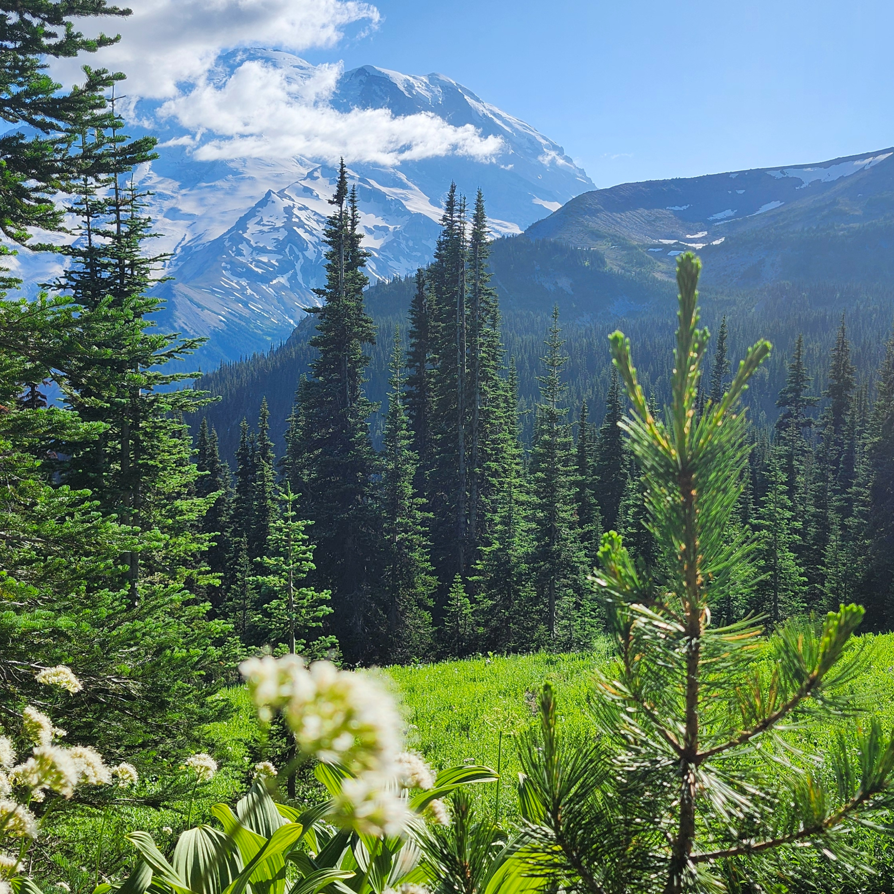 17th Sunday in OT - Hiking, Homilies, & Holiness episode artwork