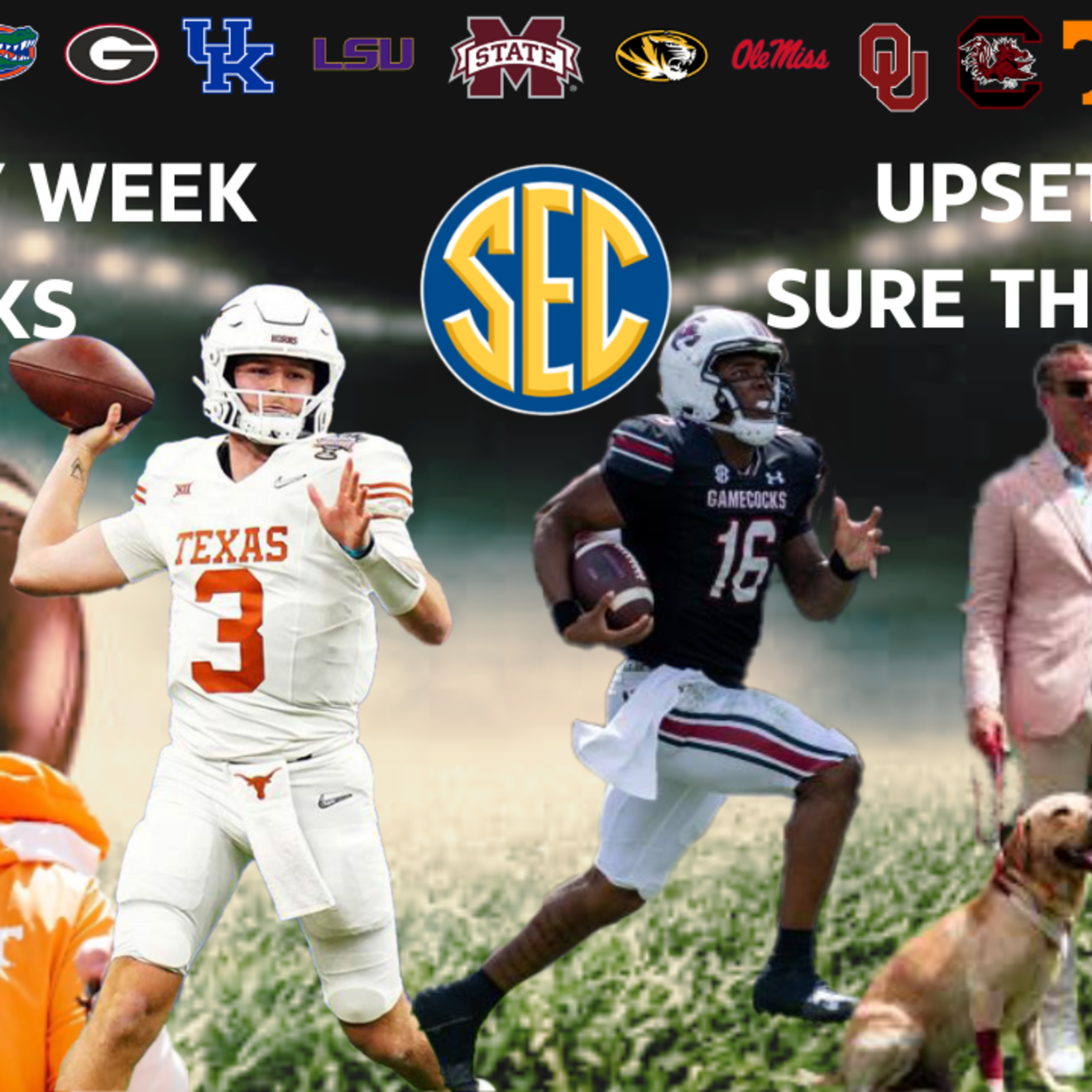 It's Rivalry Week! SEC Football - Week 14 Picks and Predictions. episode artwork
