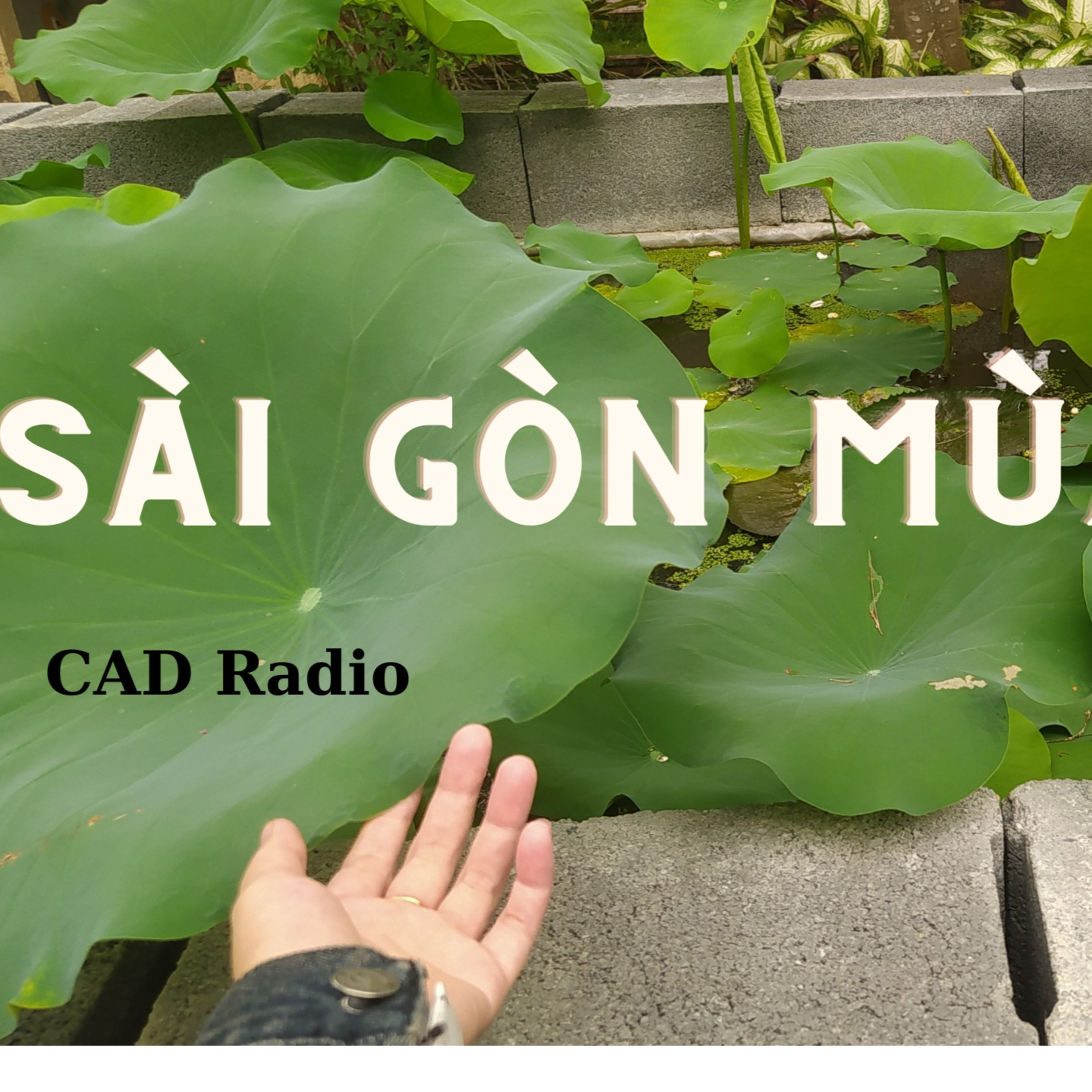 CAD Radio