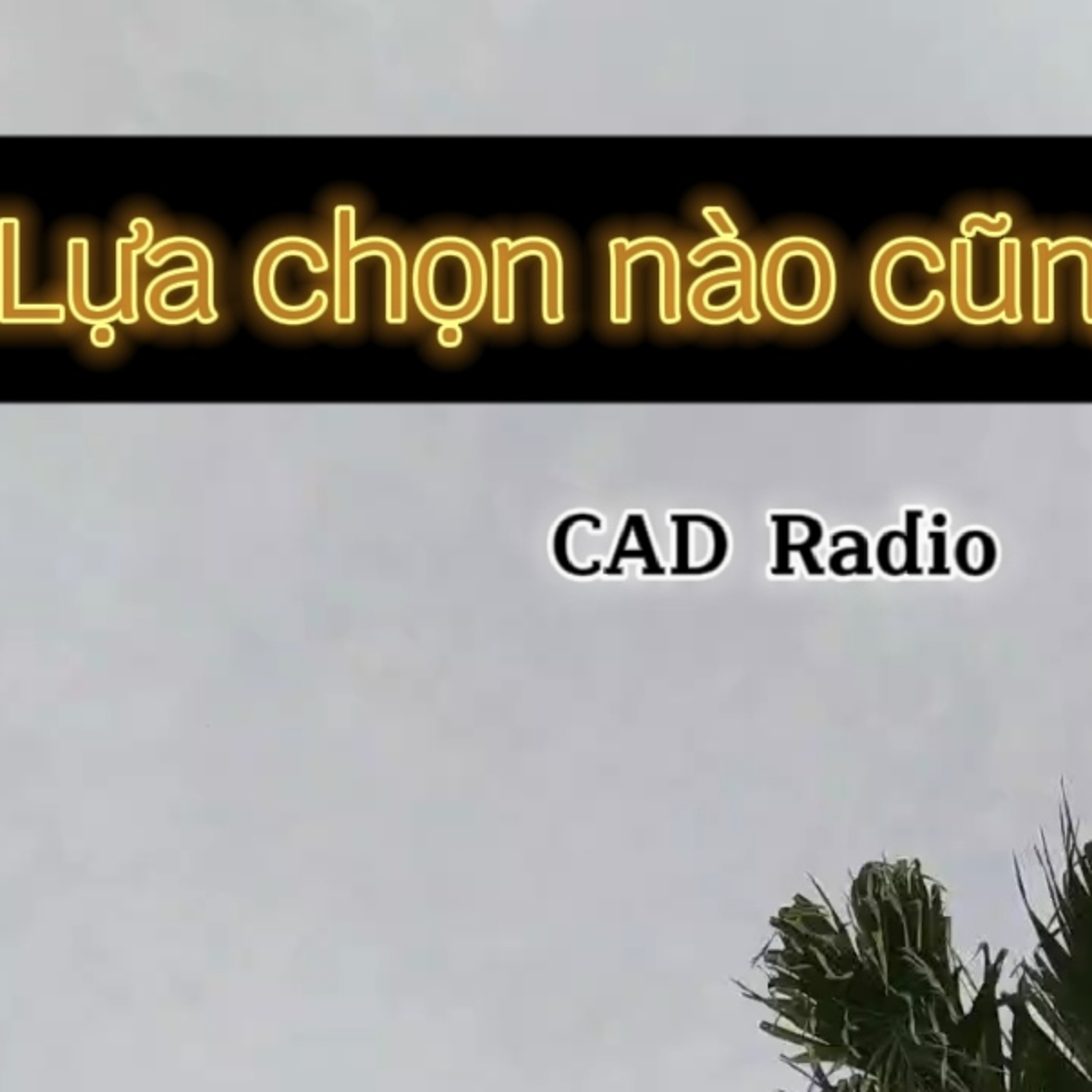 CAD Radio