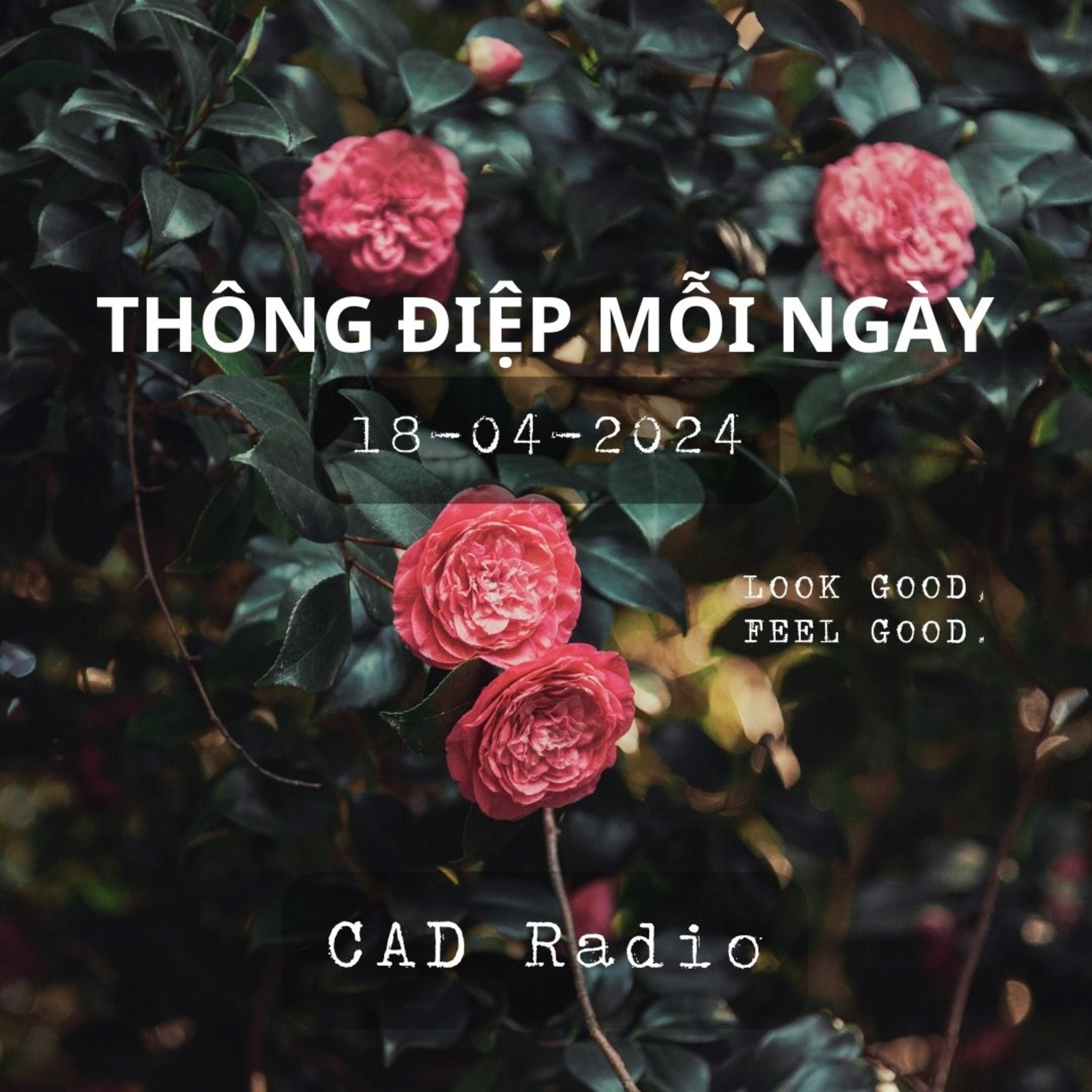 CAD Radio