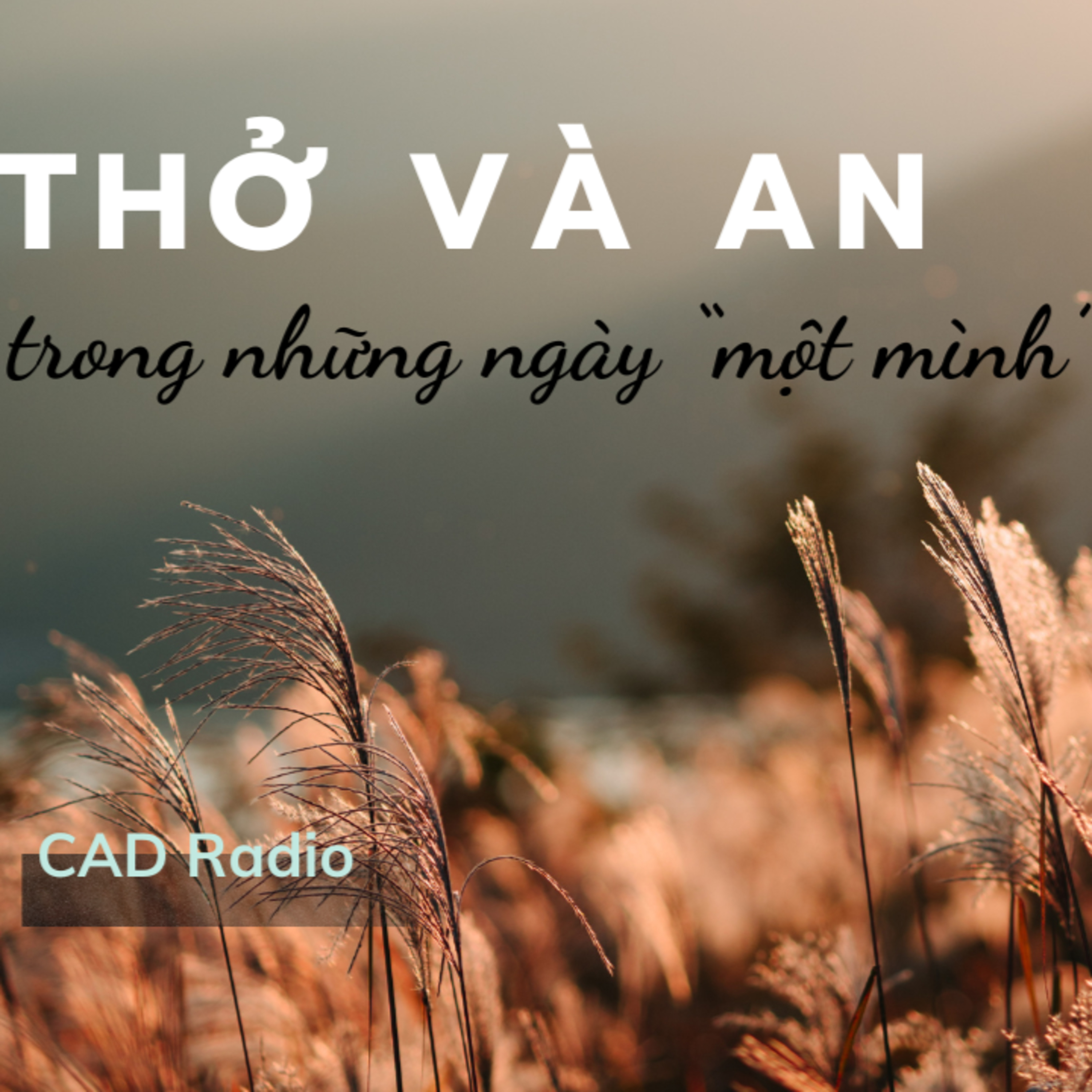 Thở và An trong những ngày một mình || CAD Radio #cadradio #thovaan #podcast
