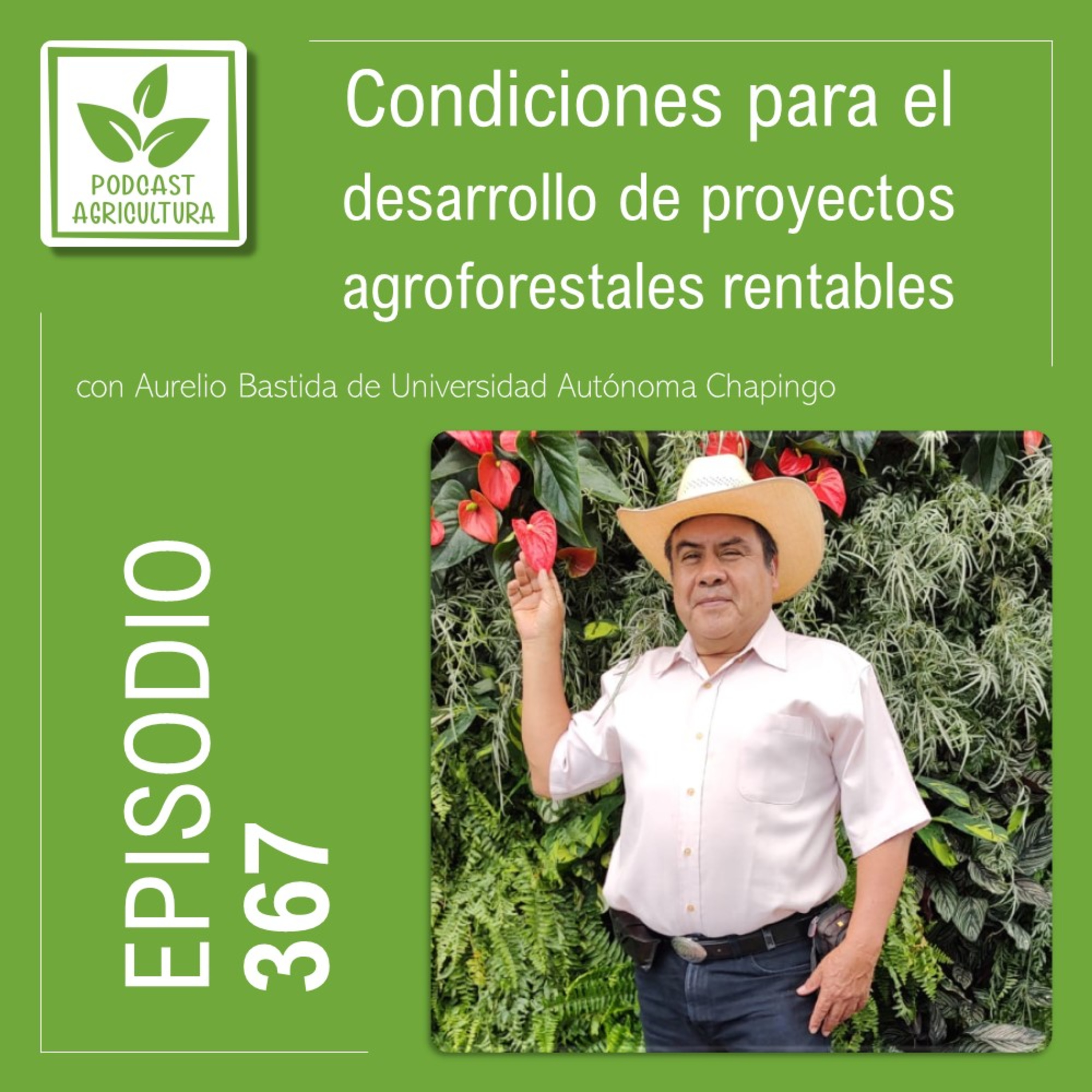 367 Condiciones para el desarrollo de proyectos agroforestales rentables con Aurelio Bastida