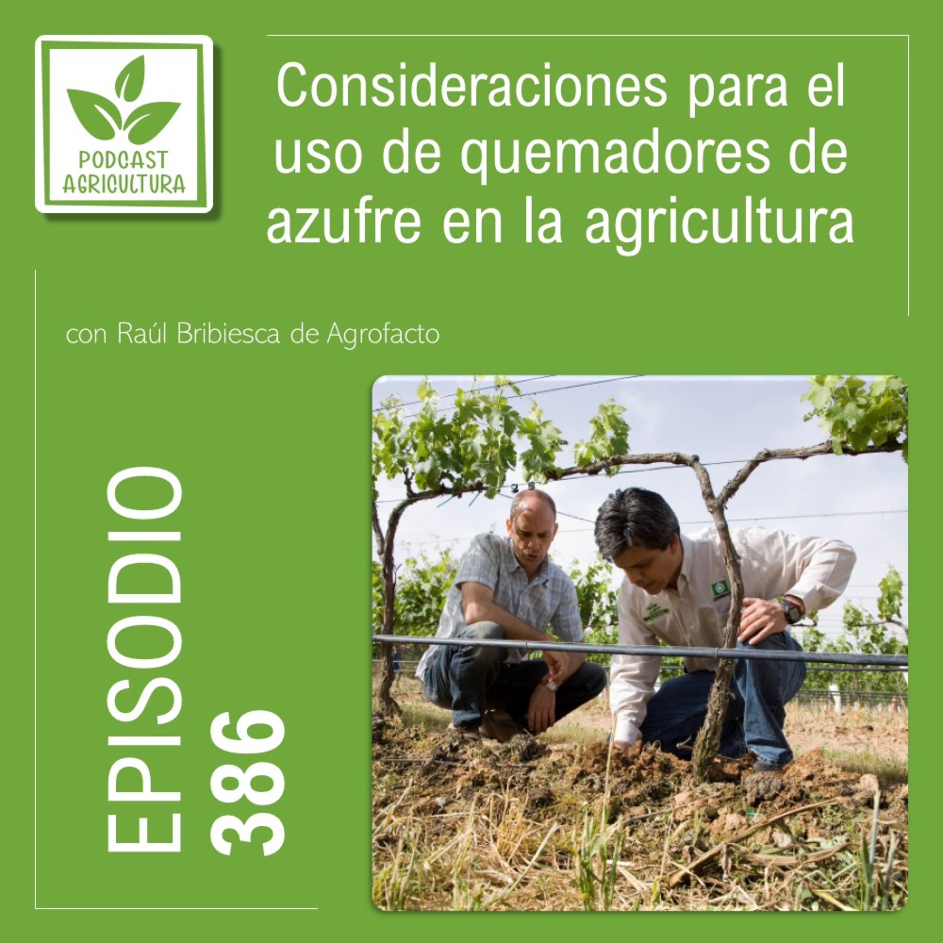 386 Consideraciones para el uso de quemadores de azufre en la agricultura con Raúl Bribiesca