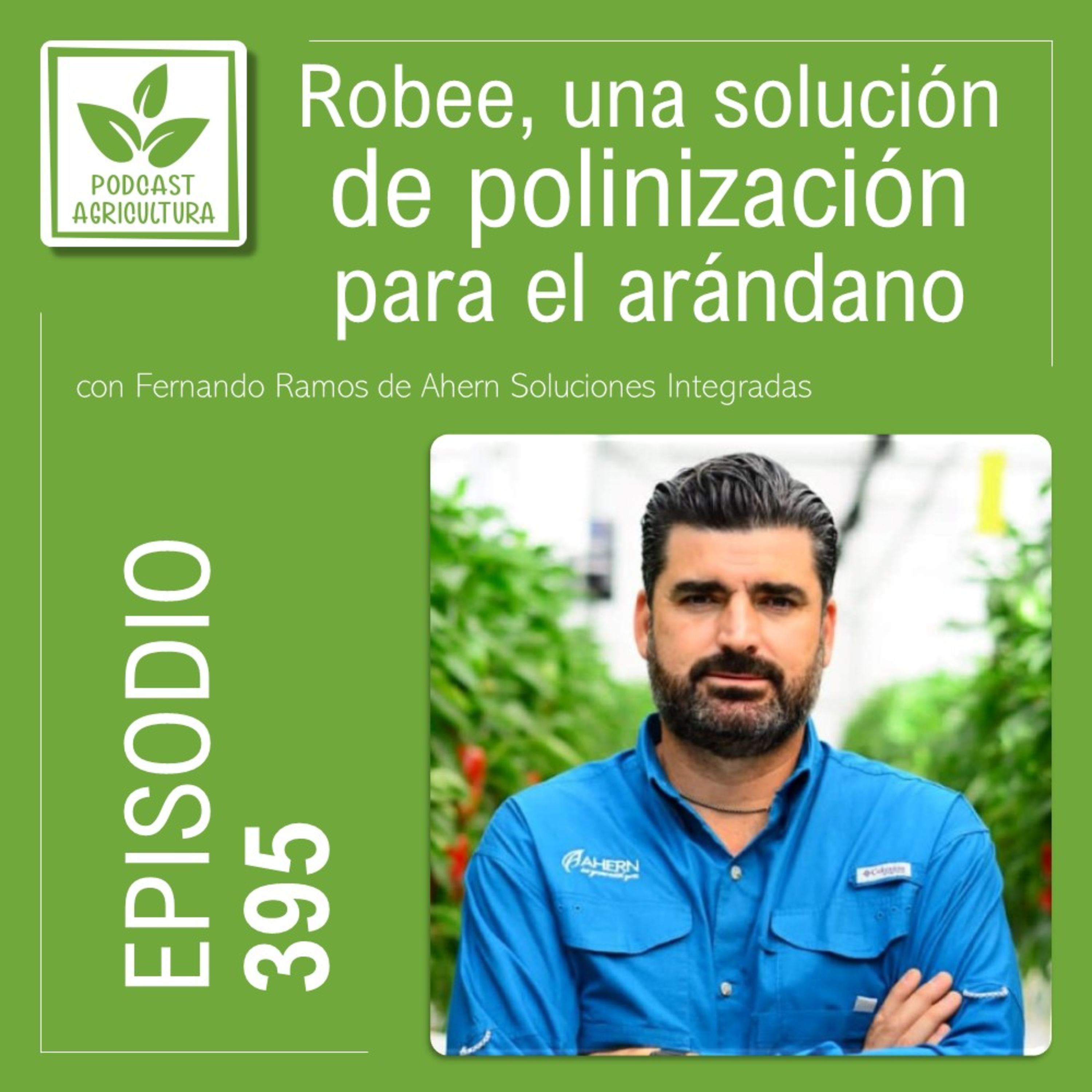 395 Robee, una solución de polinización para el arándano con Fernando Ramos