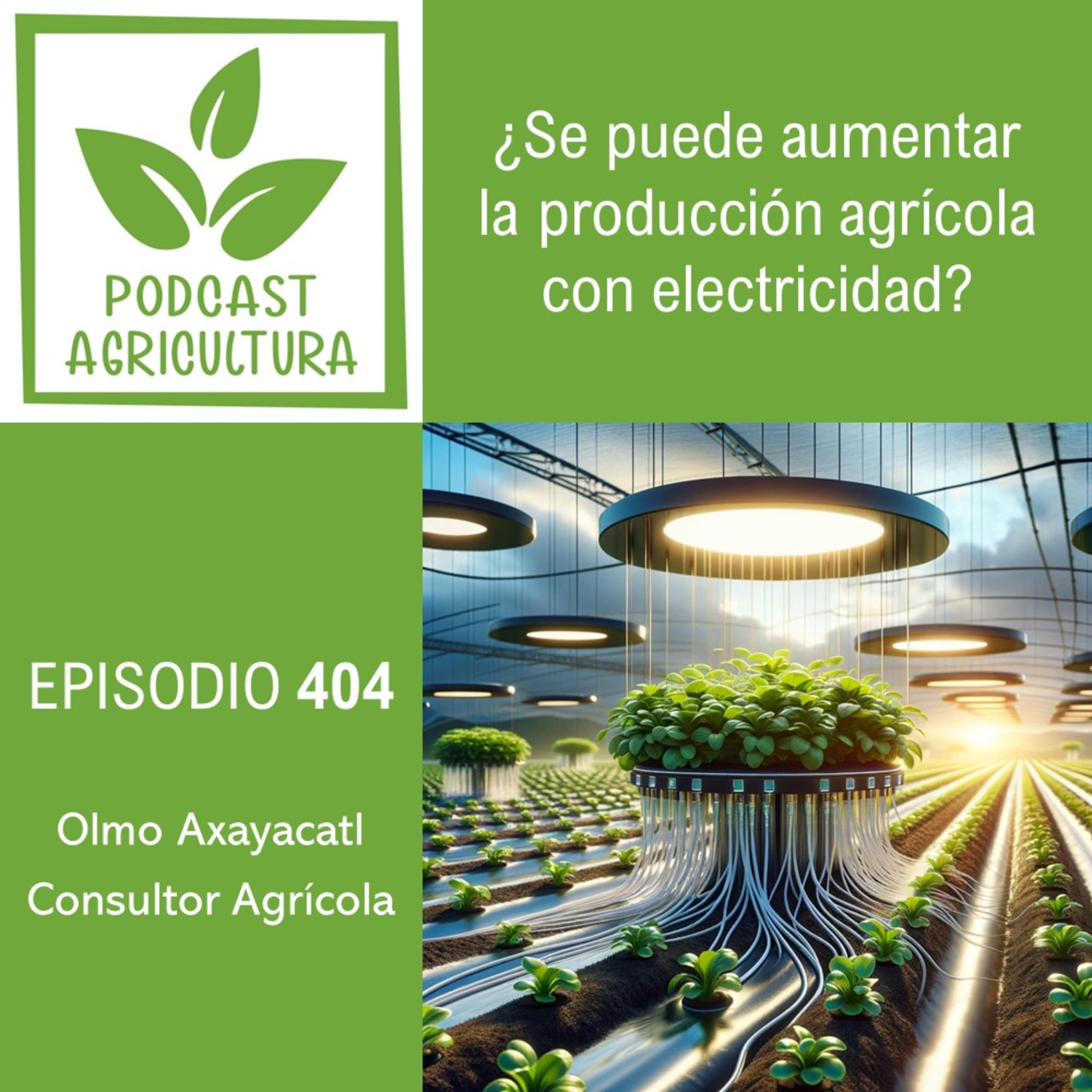 404 ¿Se puede aumentar la producción agrícola con electricidad?
