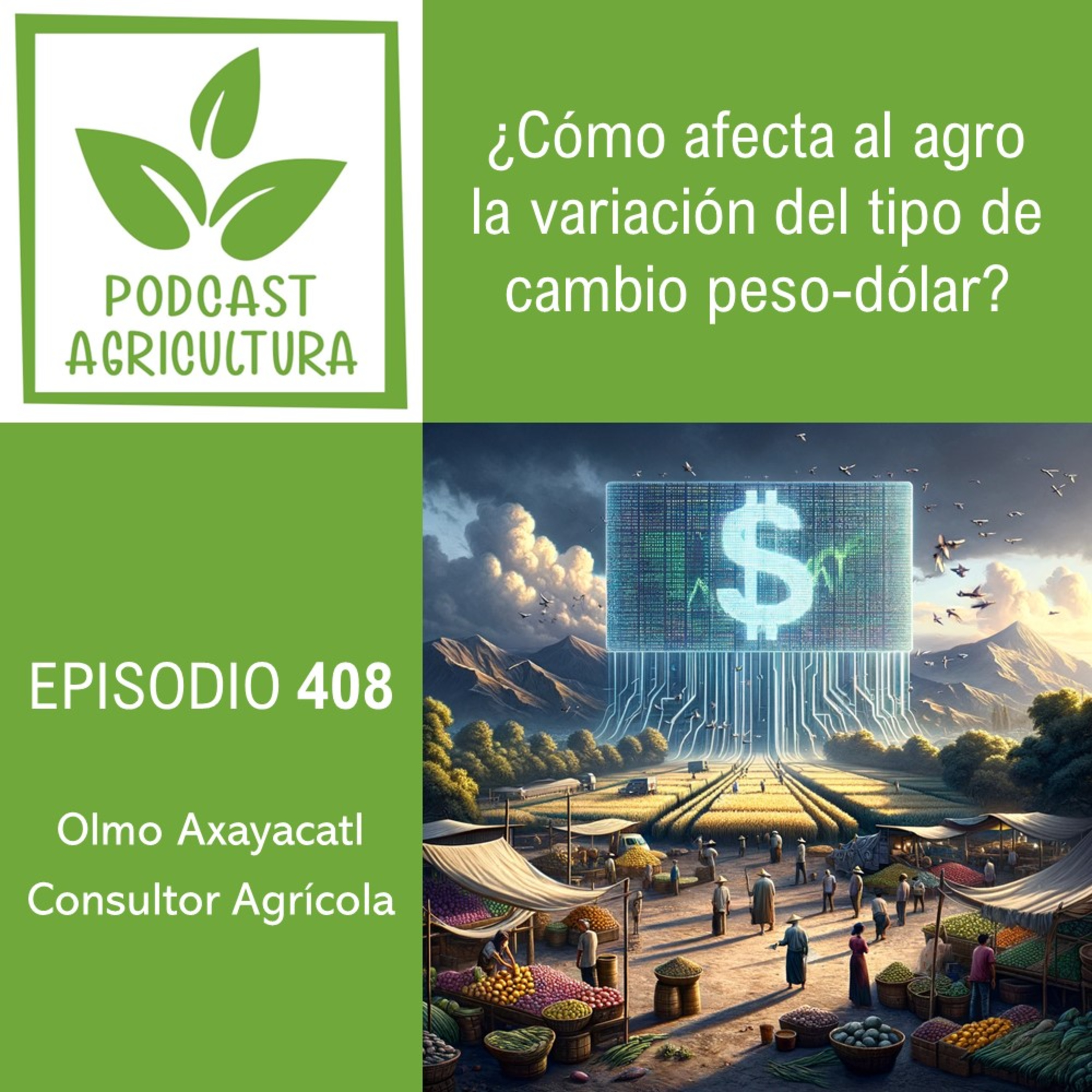 408 ¿Cómo afecta al agro la variación del tipo de cambio peso-dólar?