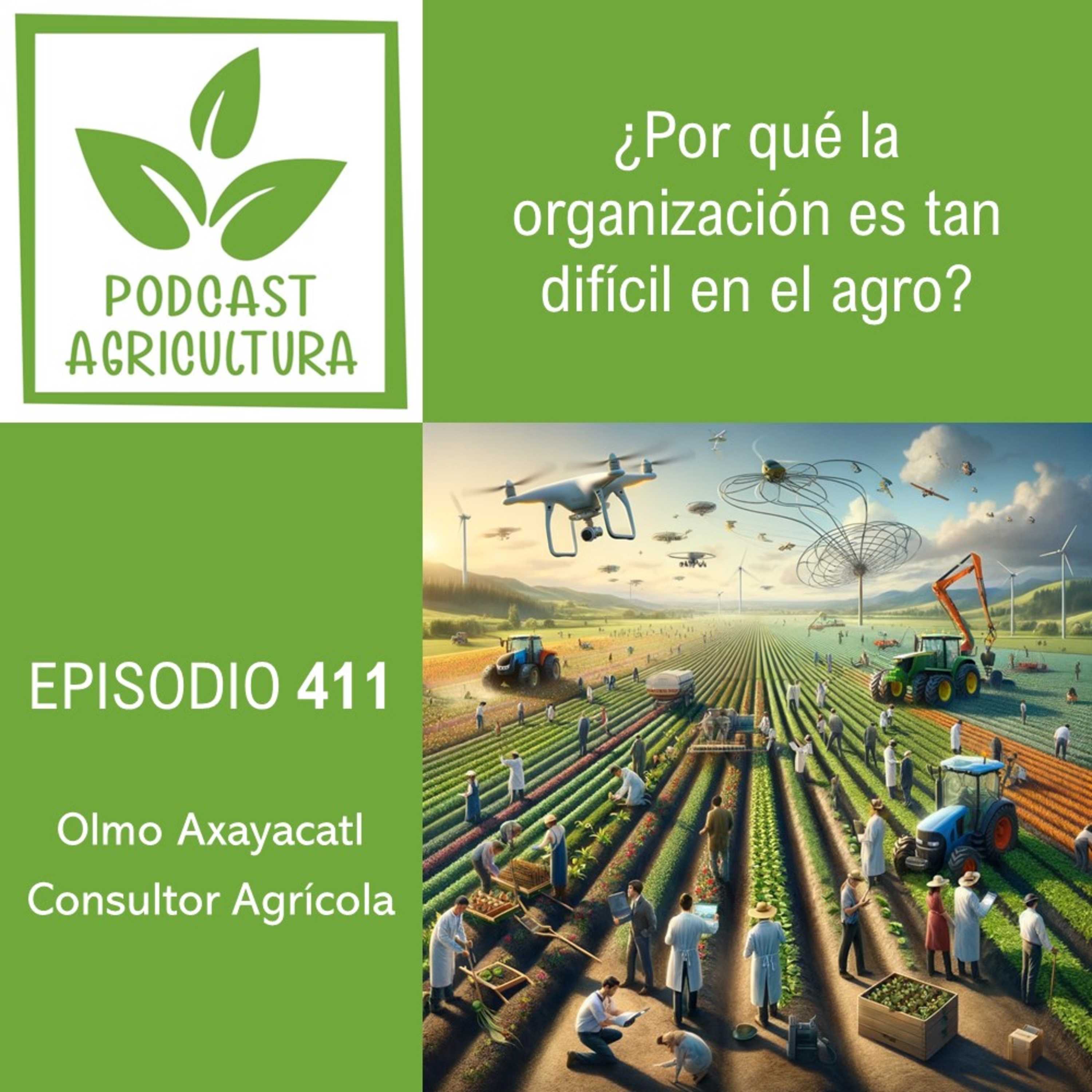 411 ¿Por qué la organización es tan difícil en el agro?