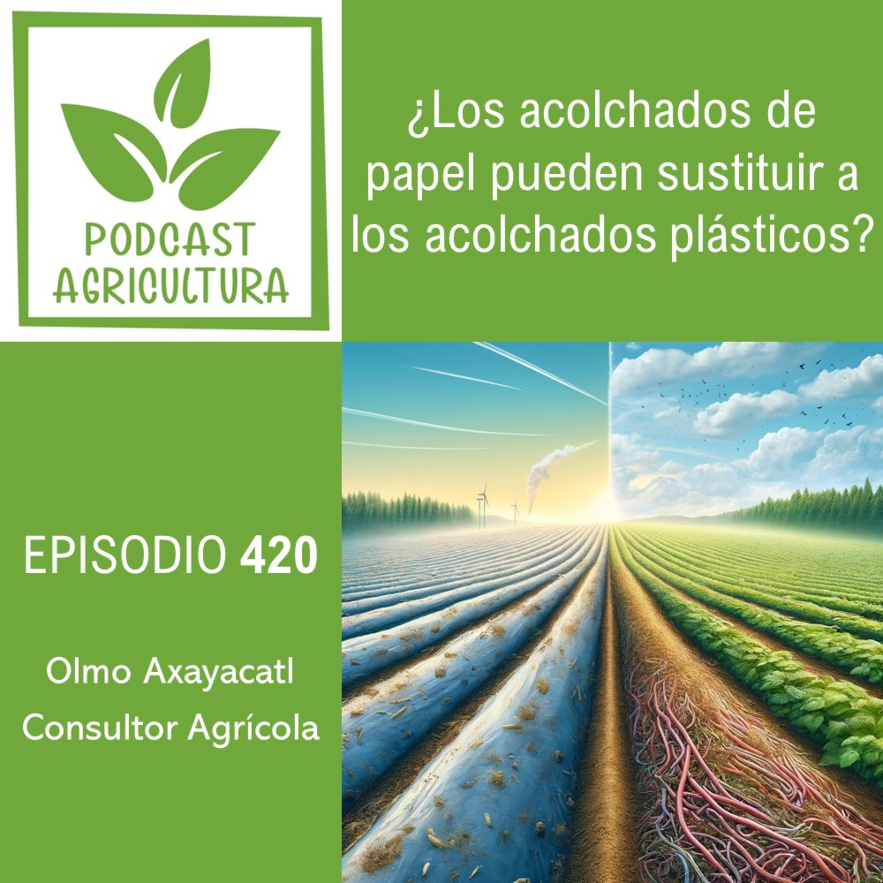 420 ¿Los acolchados de papel pueden sustituir a los acolchados plásticos?
