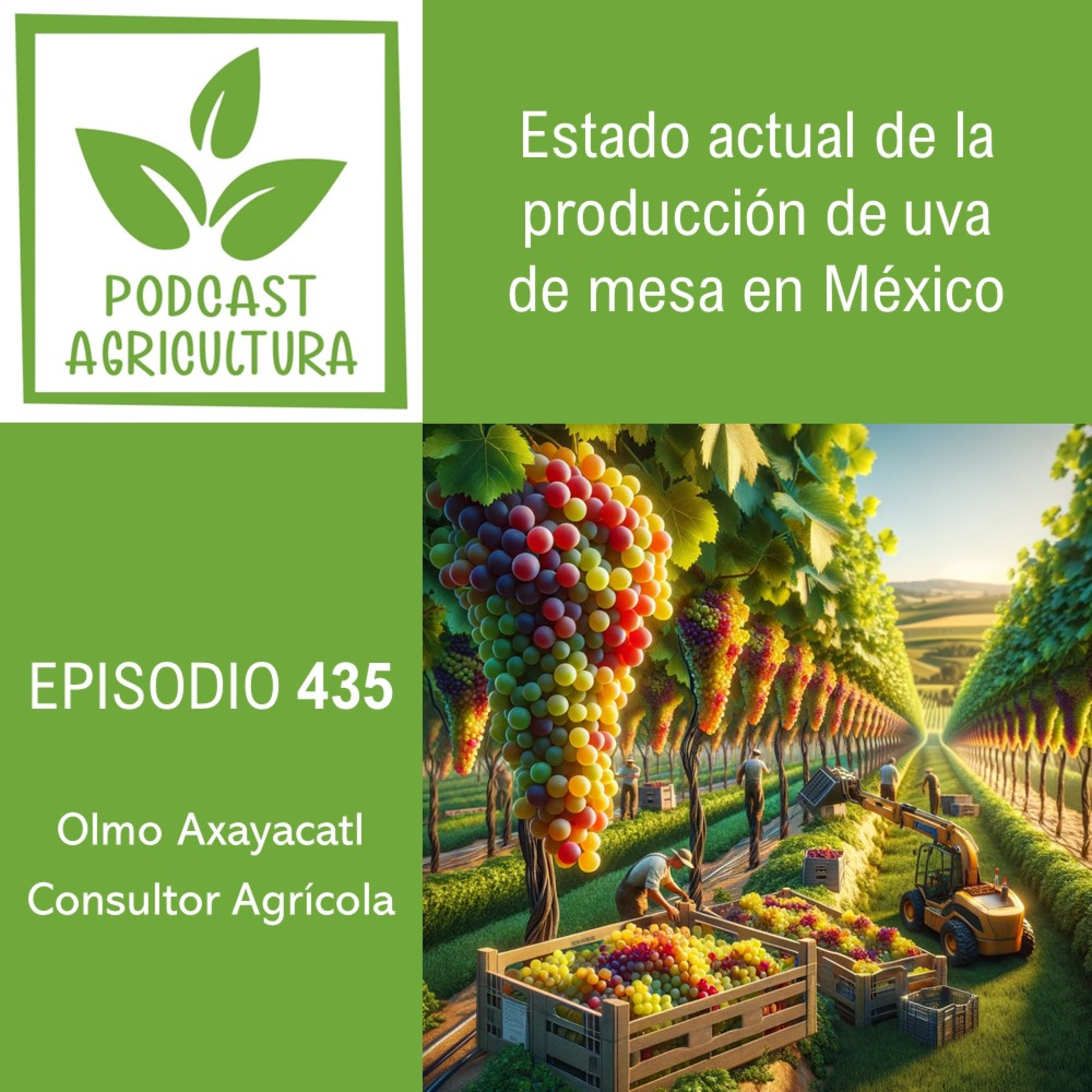 Podcast Agricultura