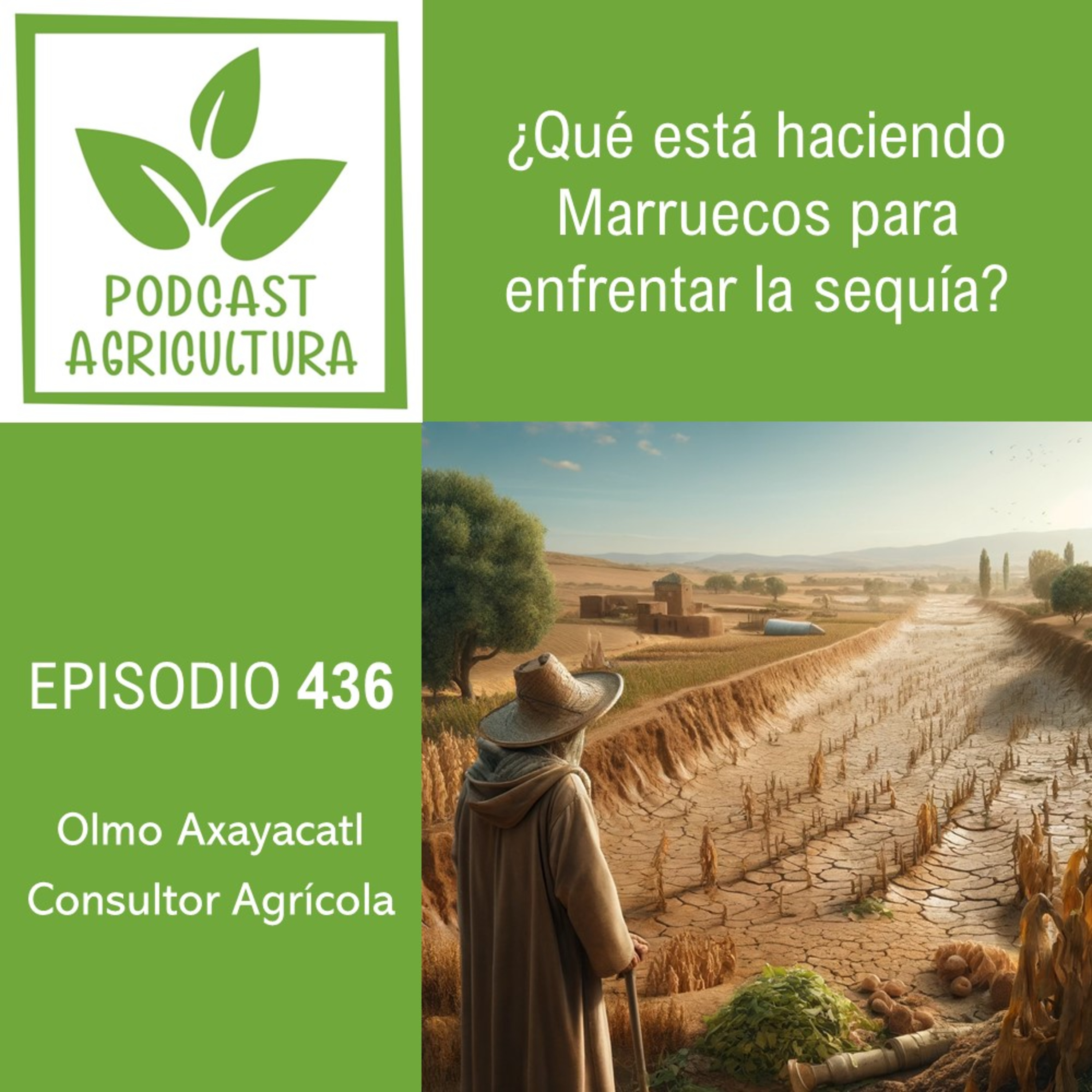 Podcast Agricultura