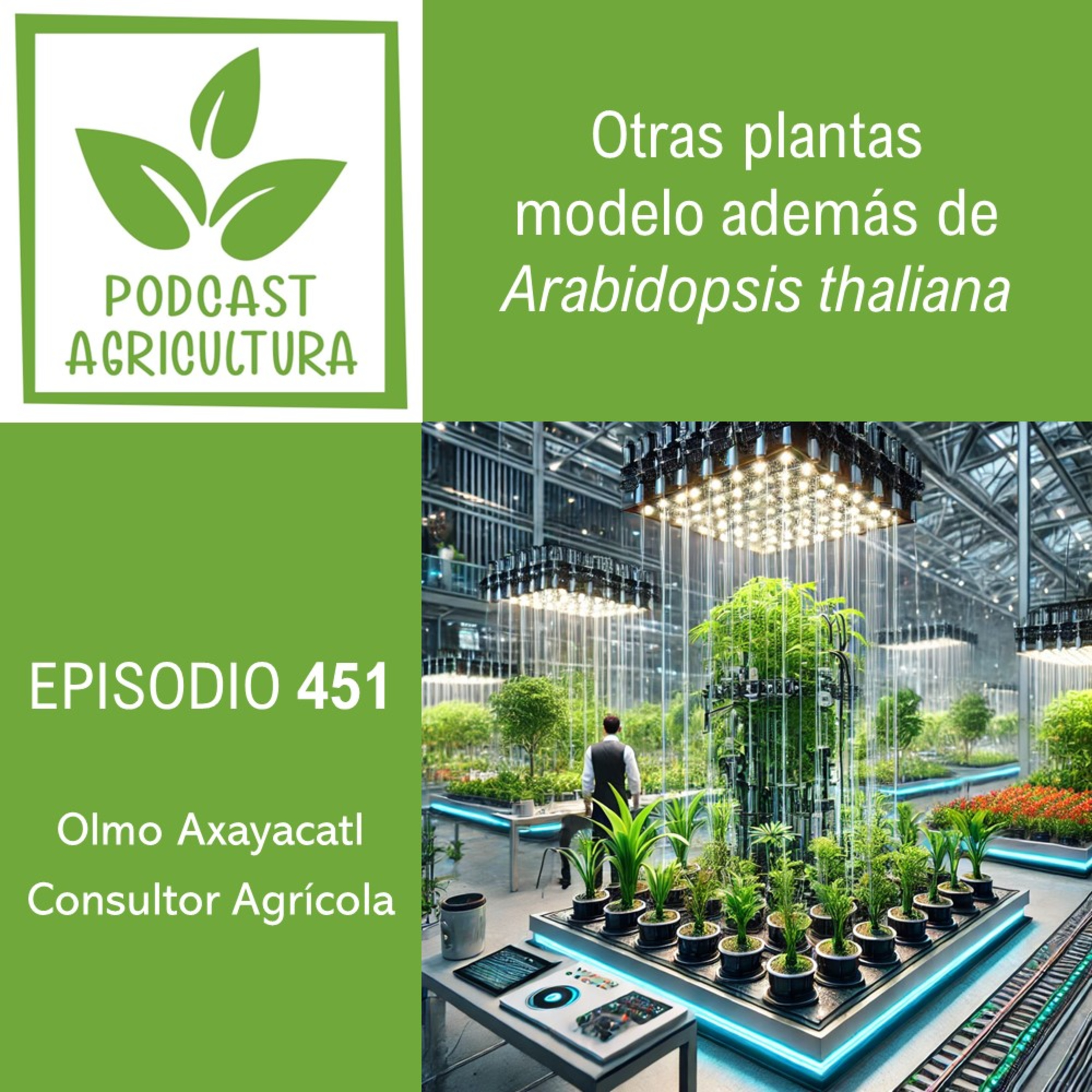 Podcast Agricultura