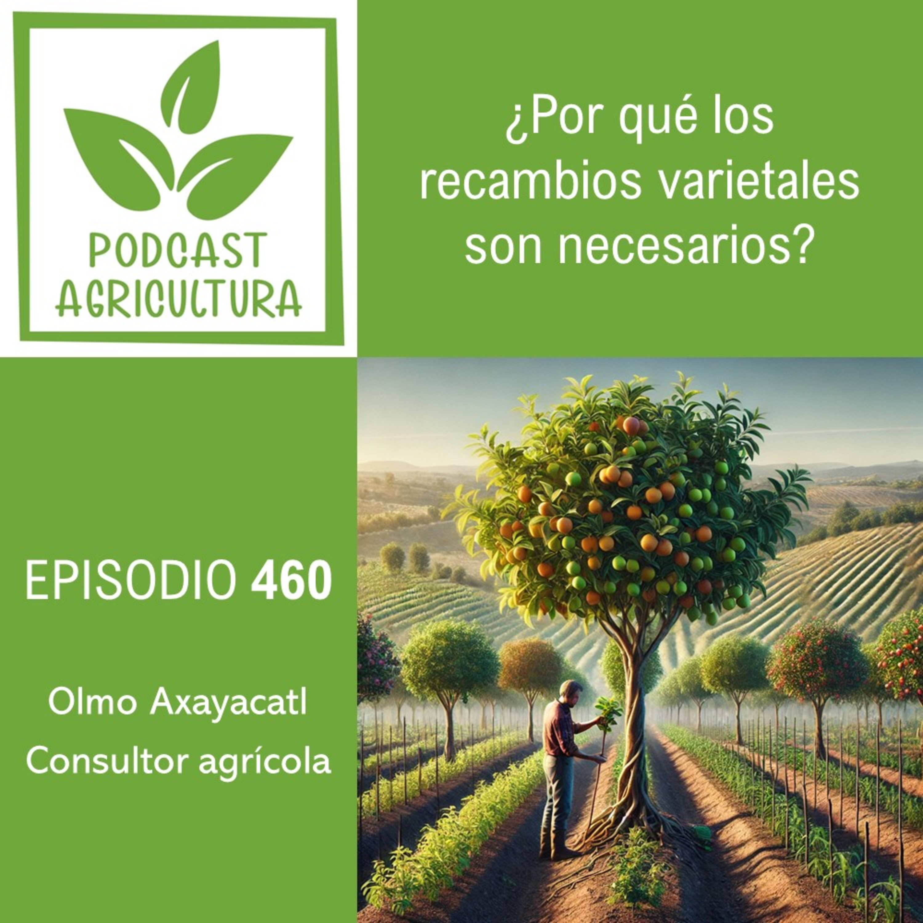 Podcast Agricultura