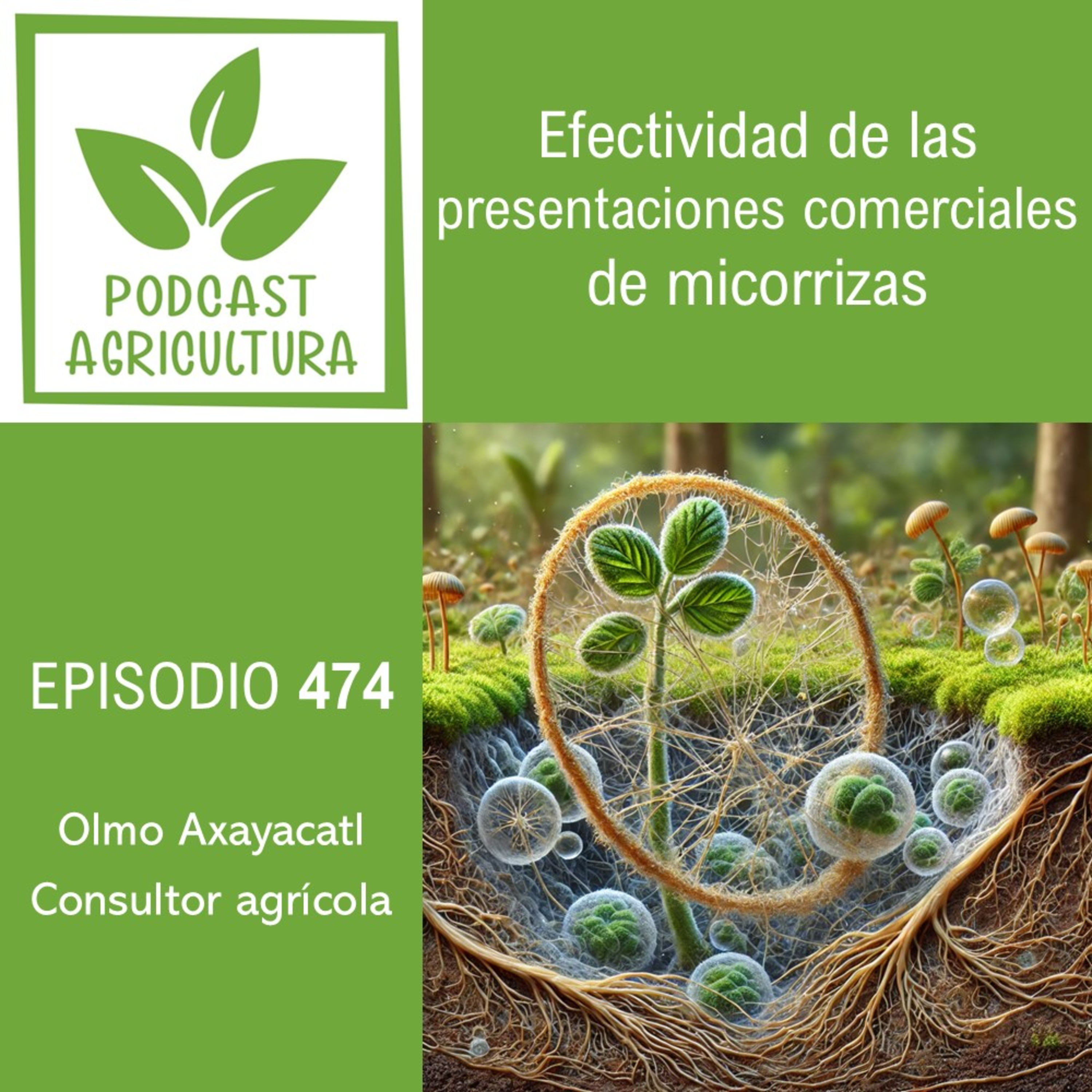 Podcast Agricultura