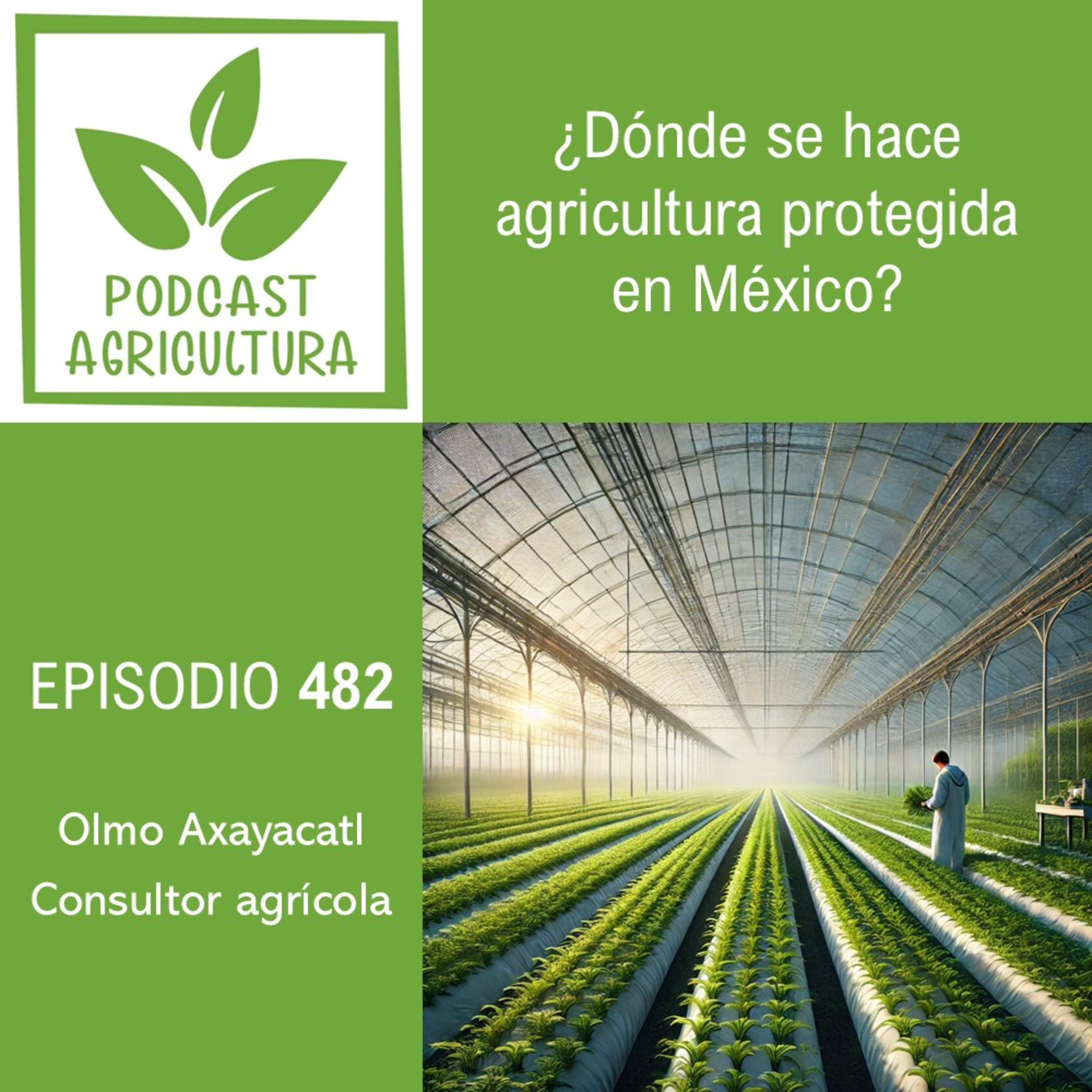 Podcast Agricultura