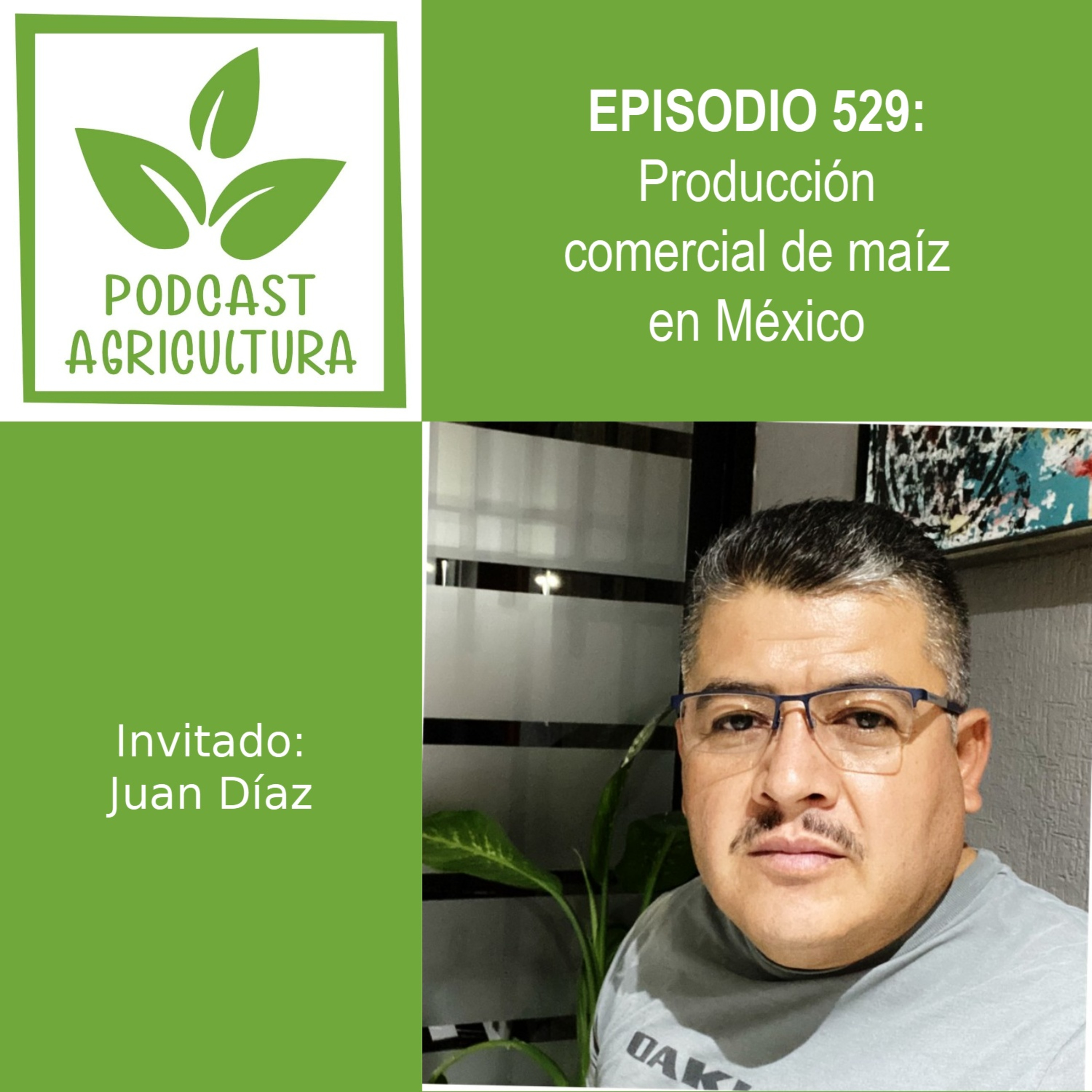529 Producción comercial de maíz en México con Juan Díaz