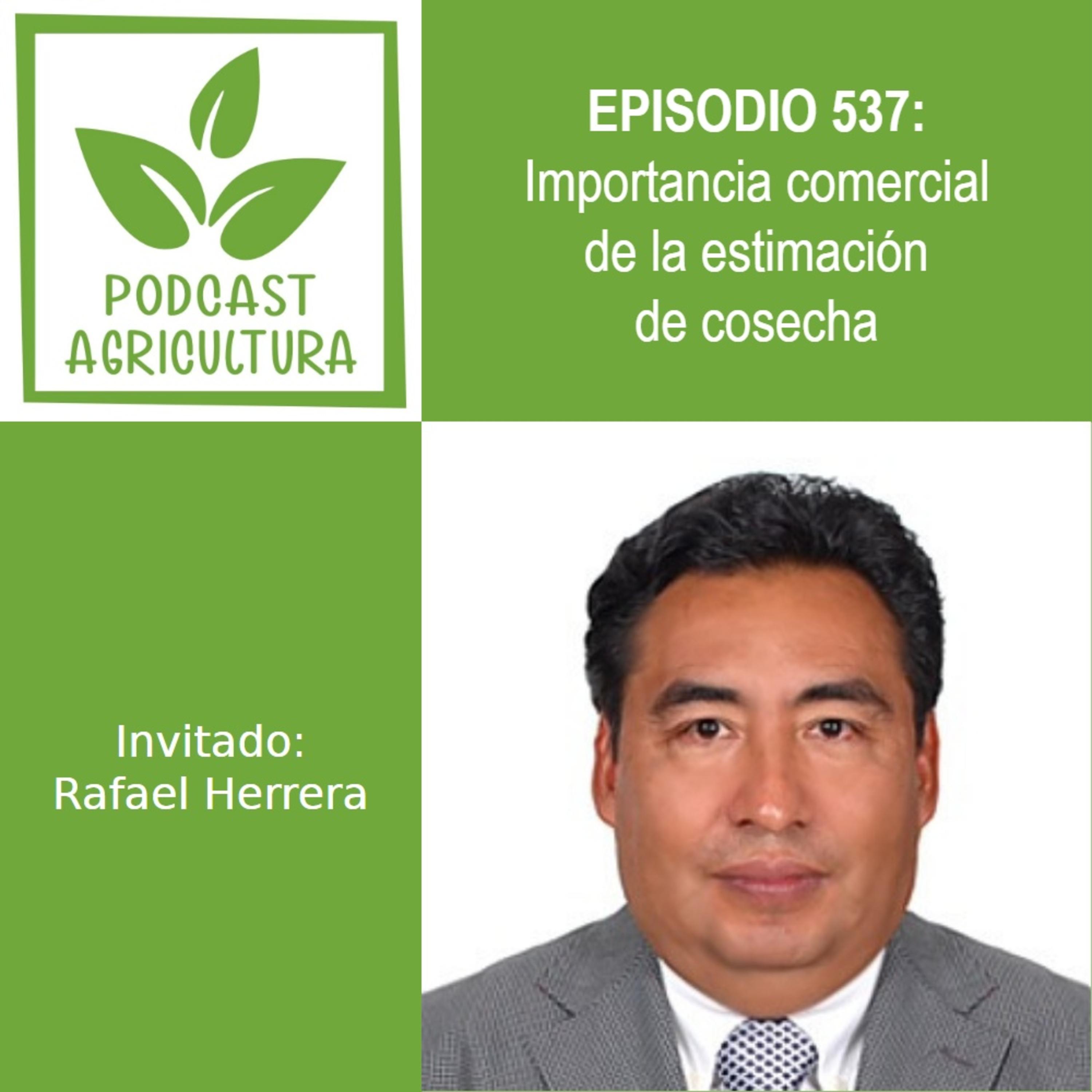 537 Importancia comercial de la estimación de cosecha con Rafael Herrera