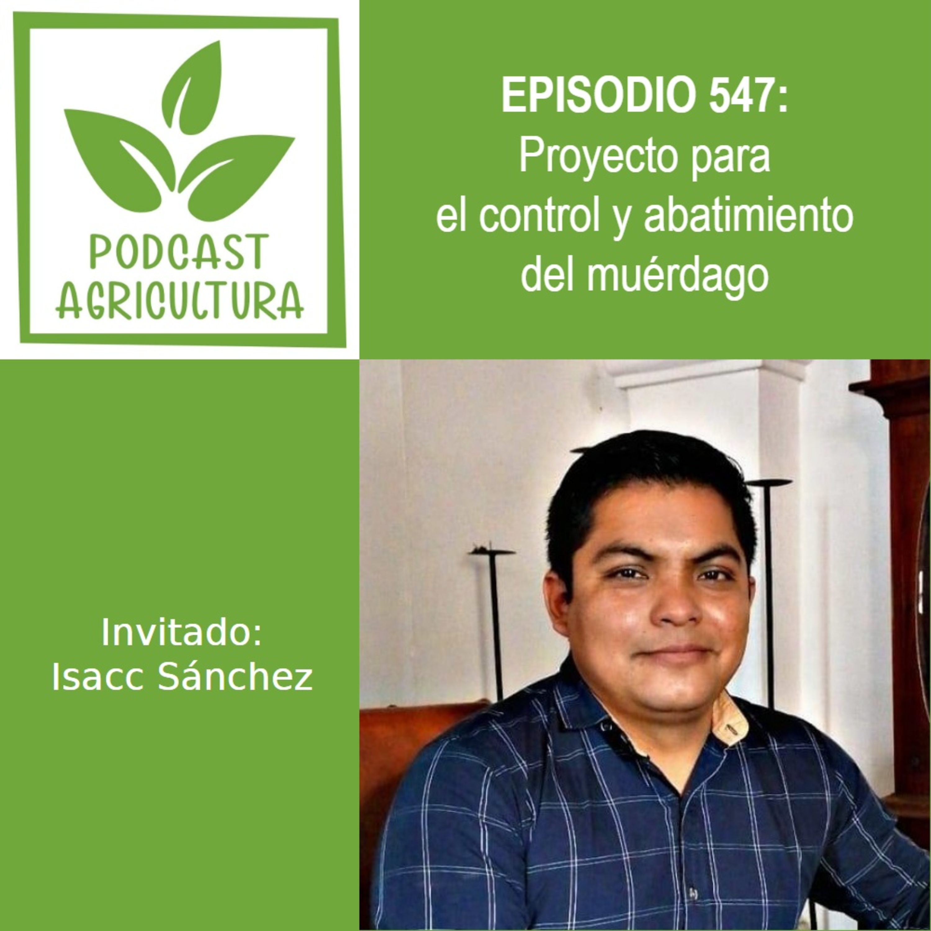 547 Proyecto para el control y abatimiento del muérdago con Isacc Sánchez