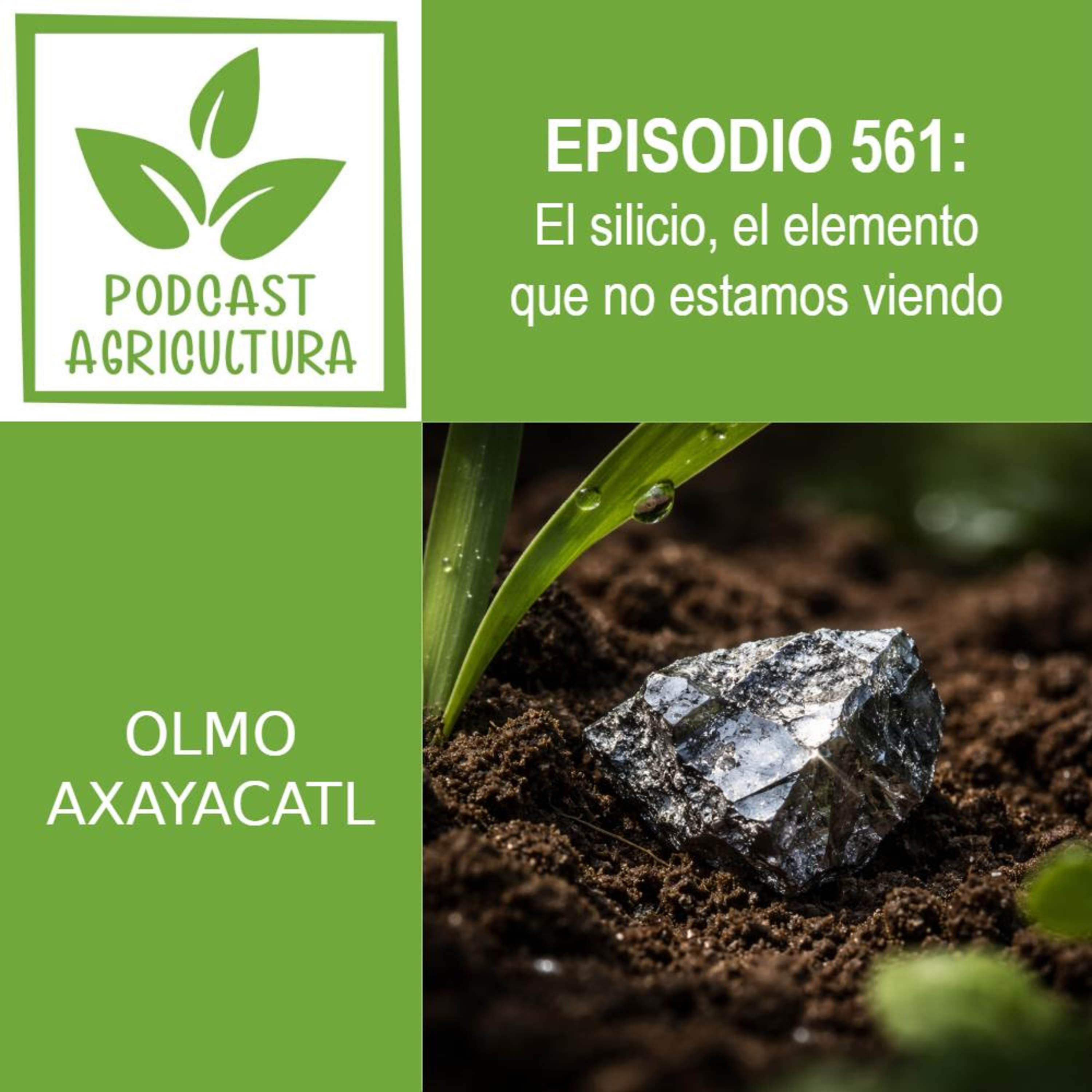 561 El silicio, el elemento que no estamos viendo