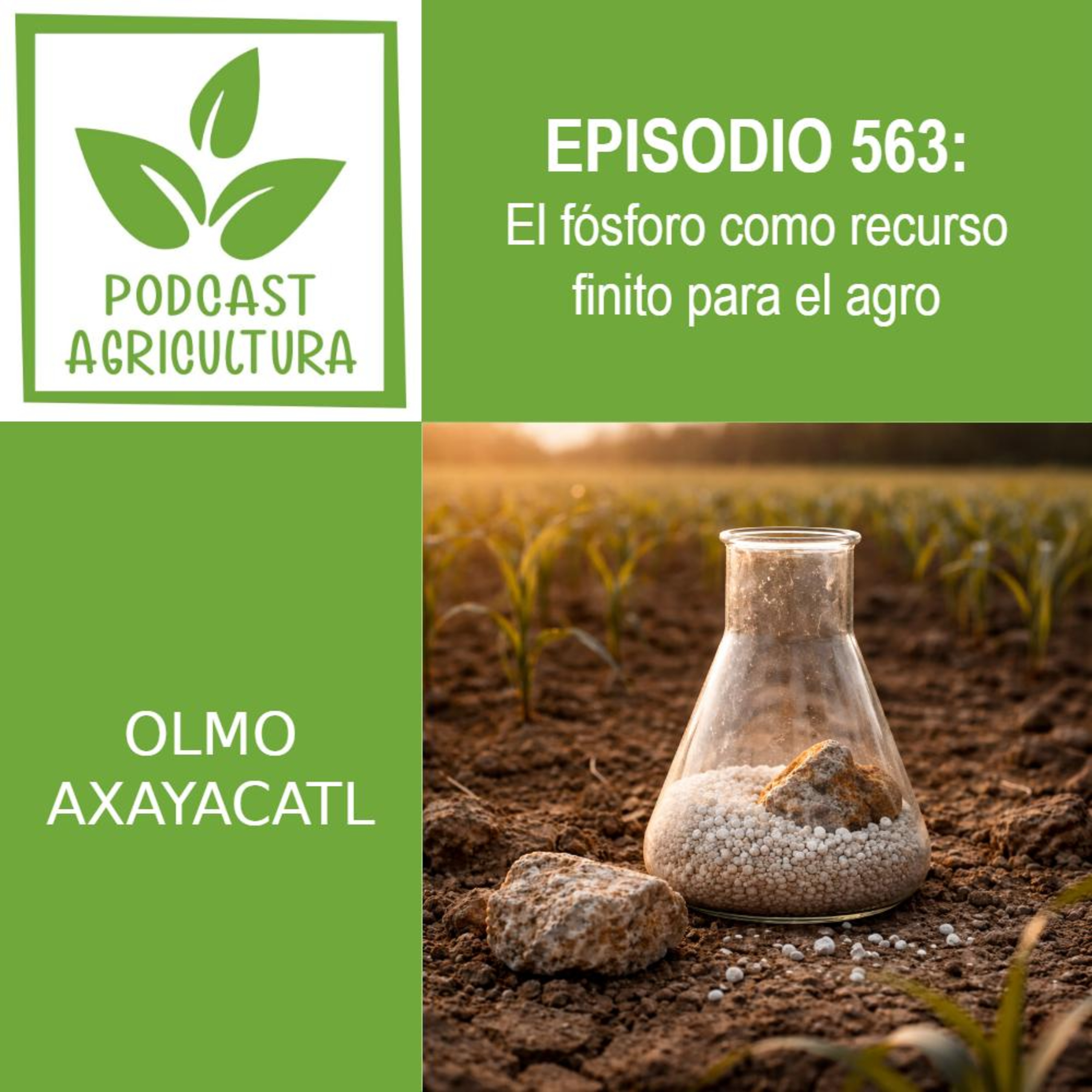 563 El fósforo como recurso finito para el agro episode artwork