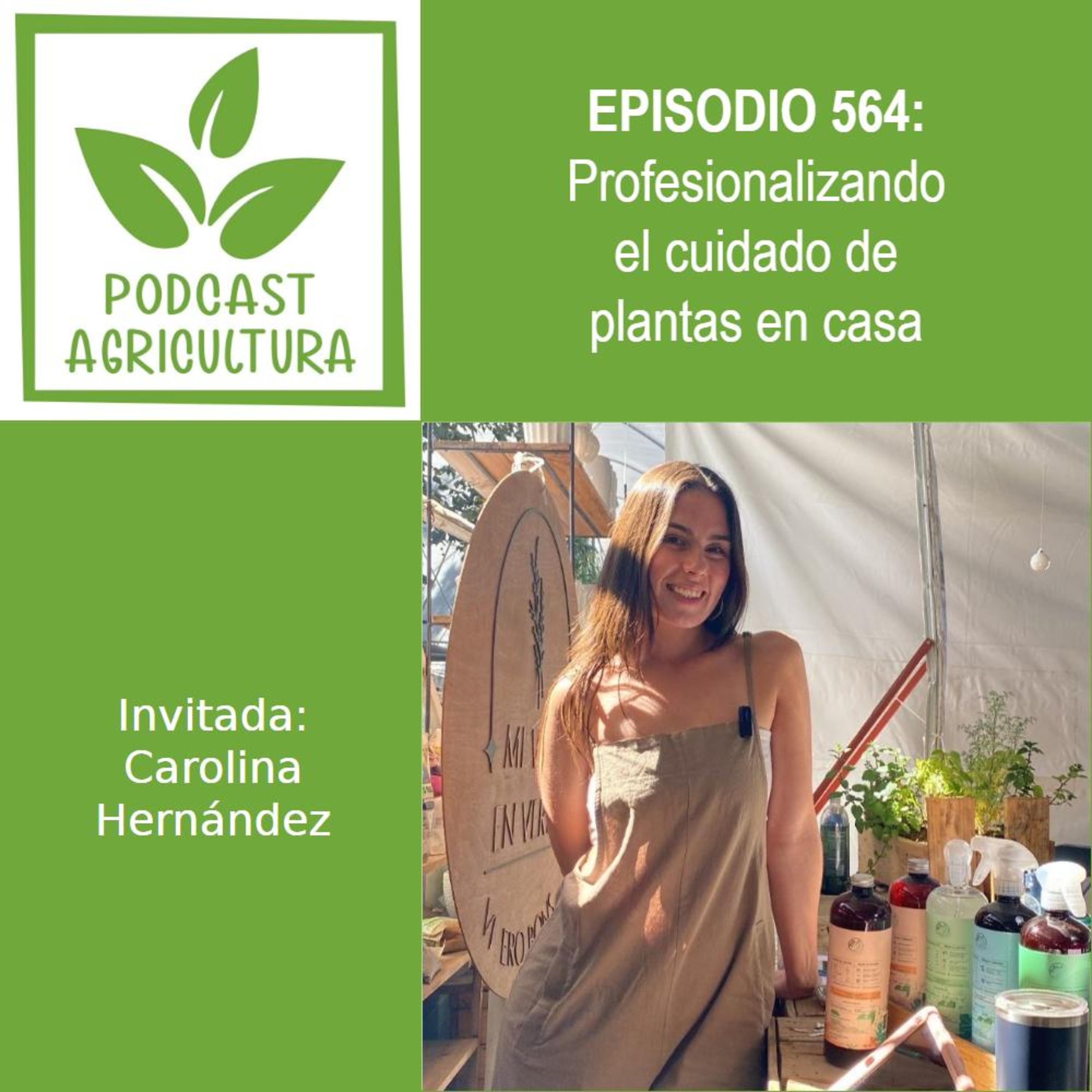 564 Profesionalizando el cuidado de plantas en casa con Carolina Hernández episode artwork