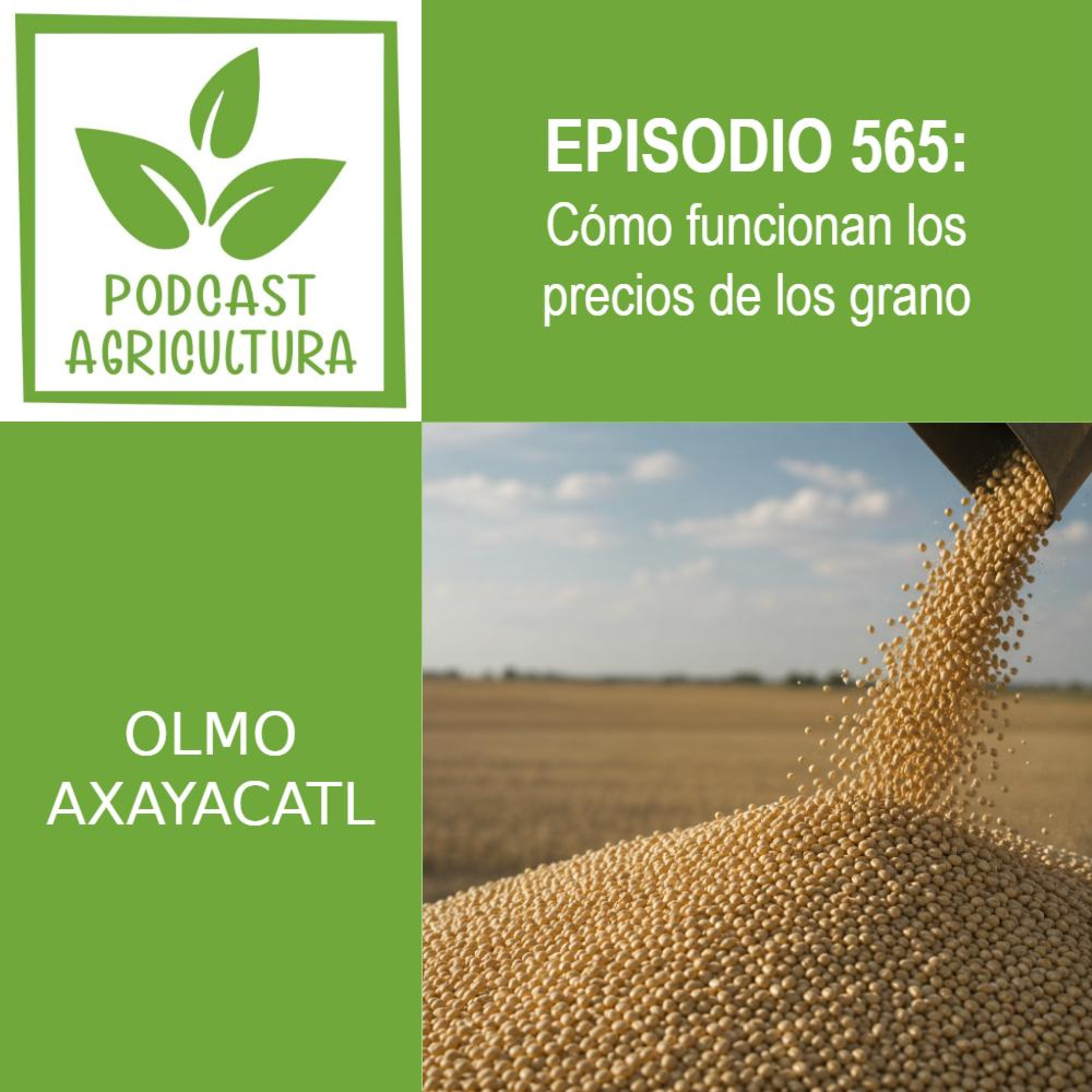 565 Cómo funcionan los precios de los granos episode artwork