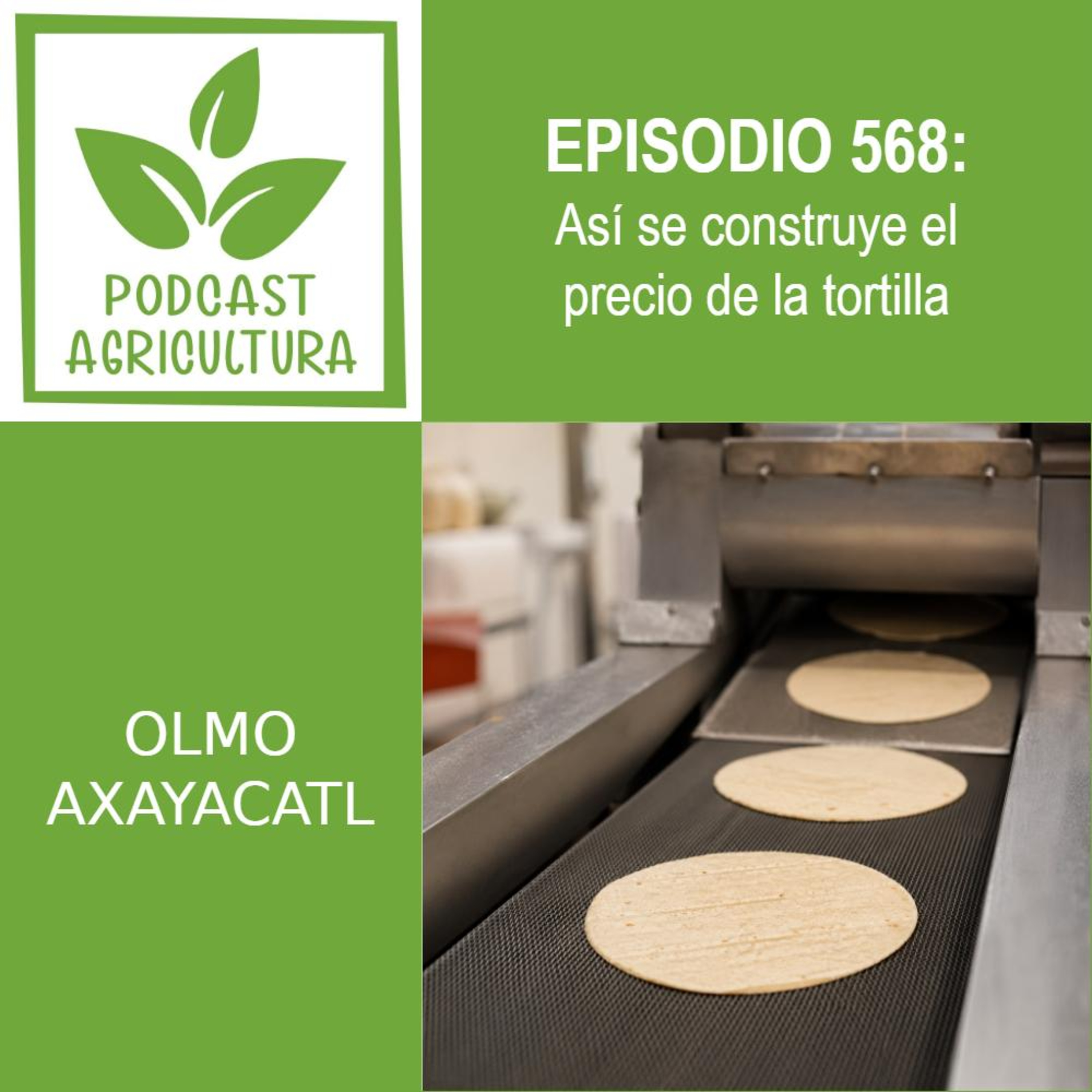 568 Así se construye el precio de la tortilla episode artwork