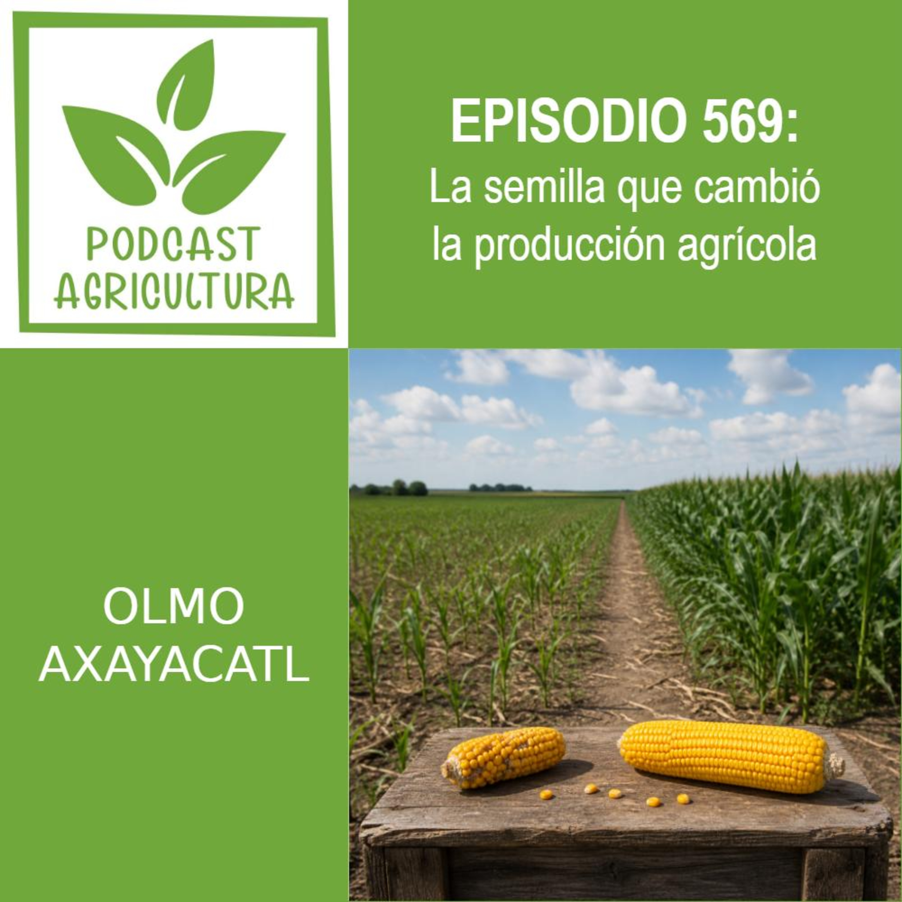 569 La semilla que cambió la producción agrícola episode artwork