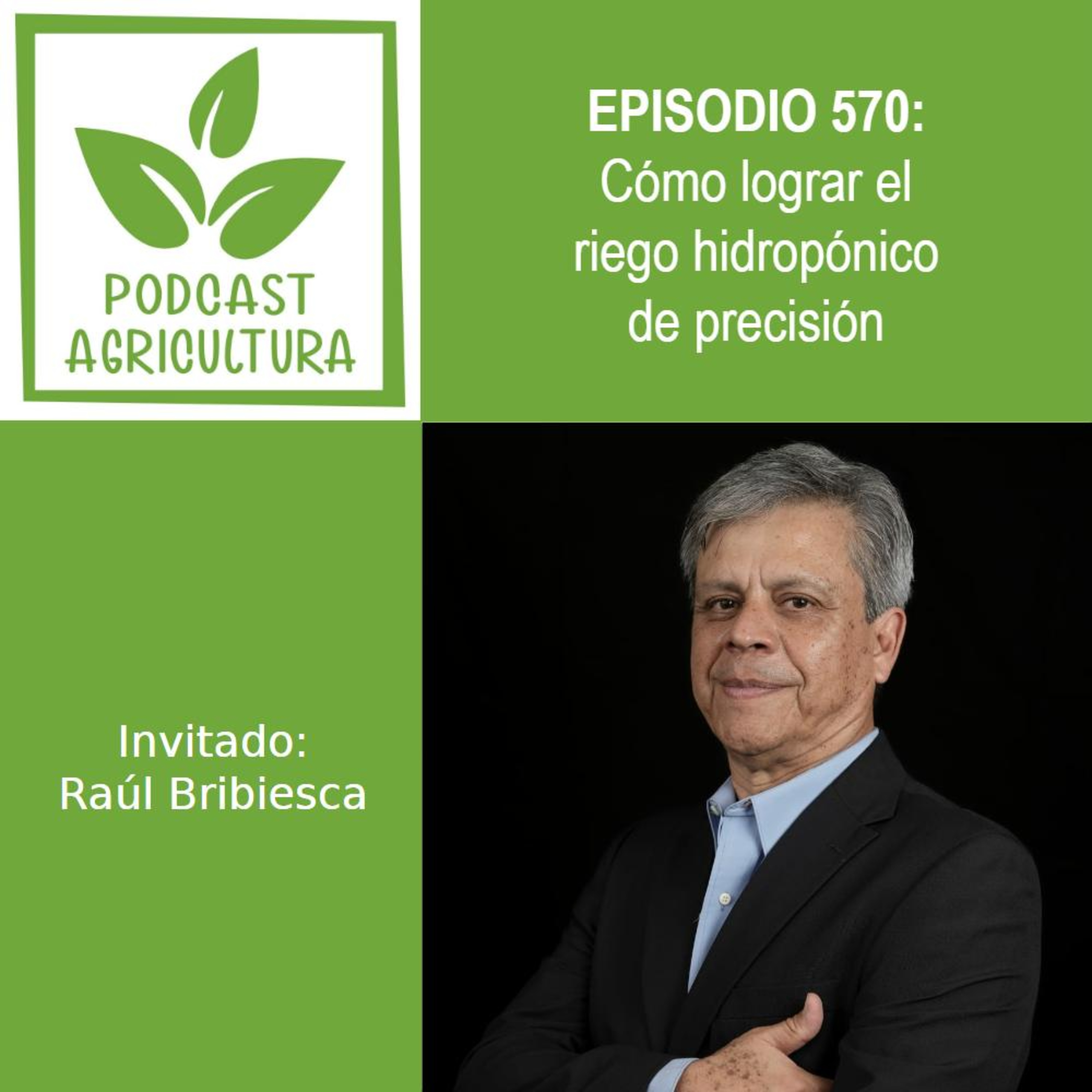 570 Cómo lograr el riego hidropónico de precisión con Raúl Bribiesca episode artwork
