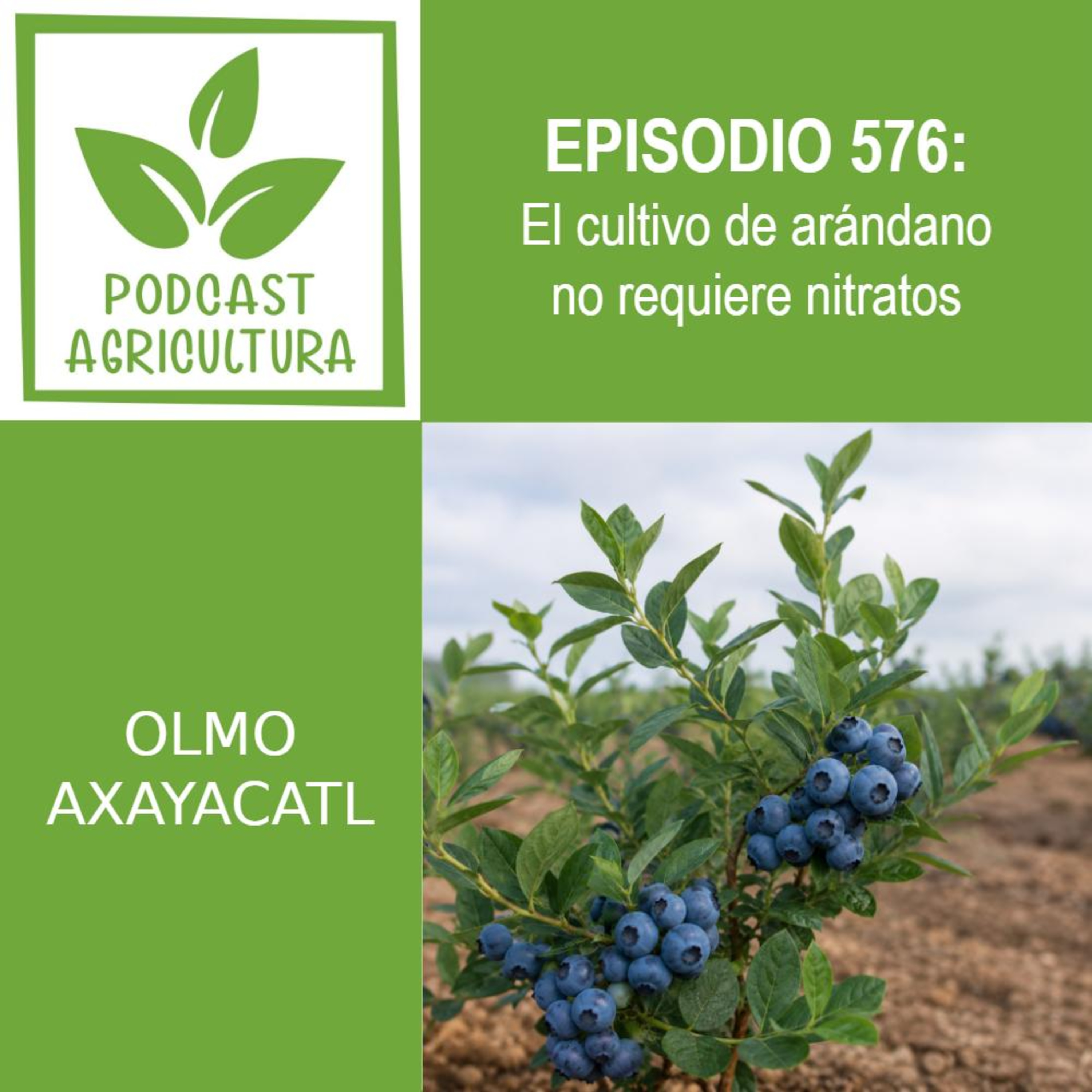 576 El cultivo de arándano no requiere nitratos episode artwork