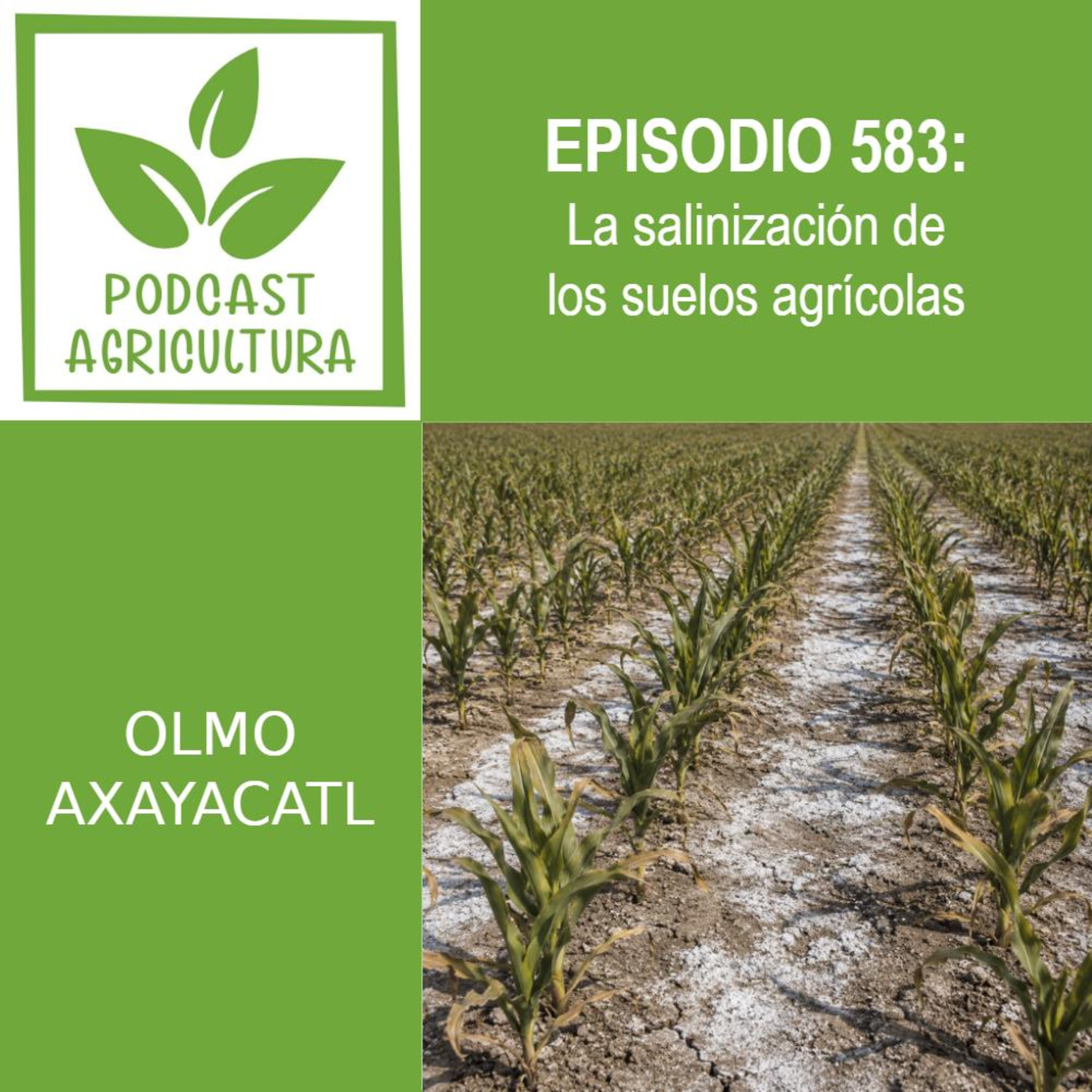583 La salinización de los suelos agrícolas episode artwork
