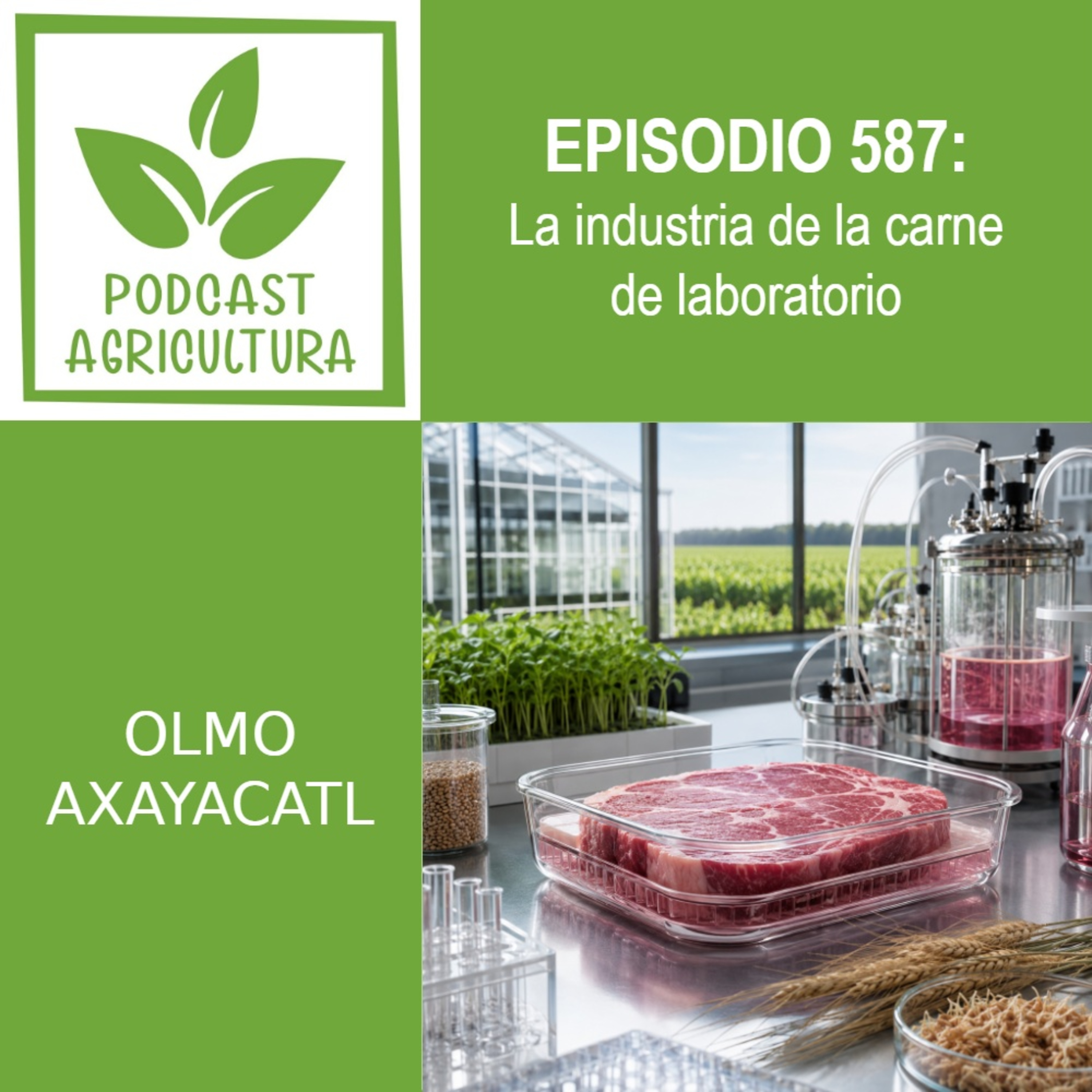 587 La industria de la carne de laboratorio episode artwork