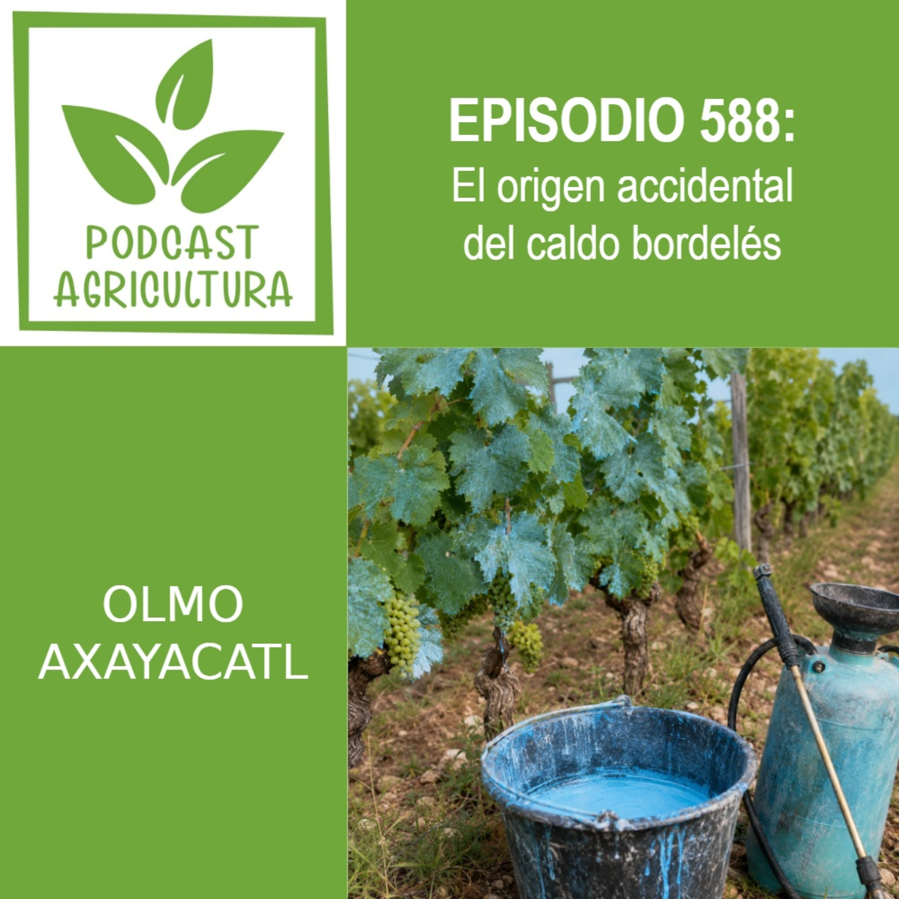 588 El origen accidental del caldo bordelés episode artwork