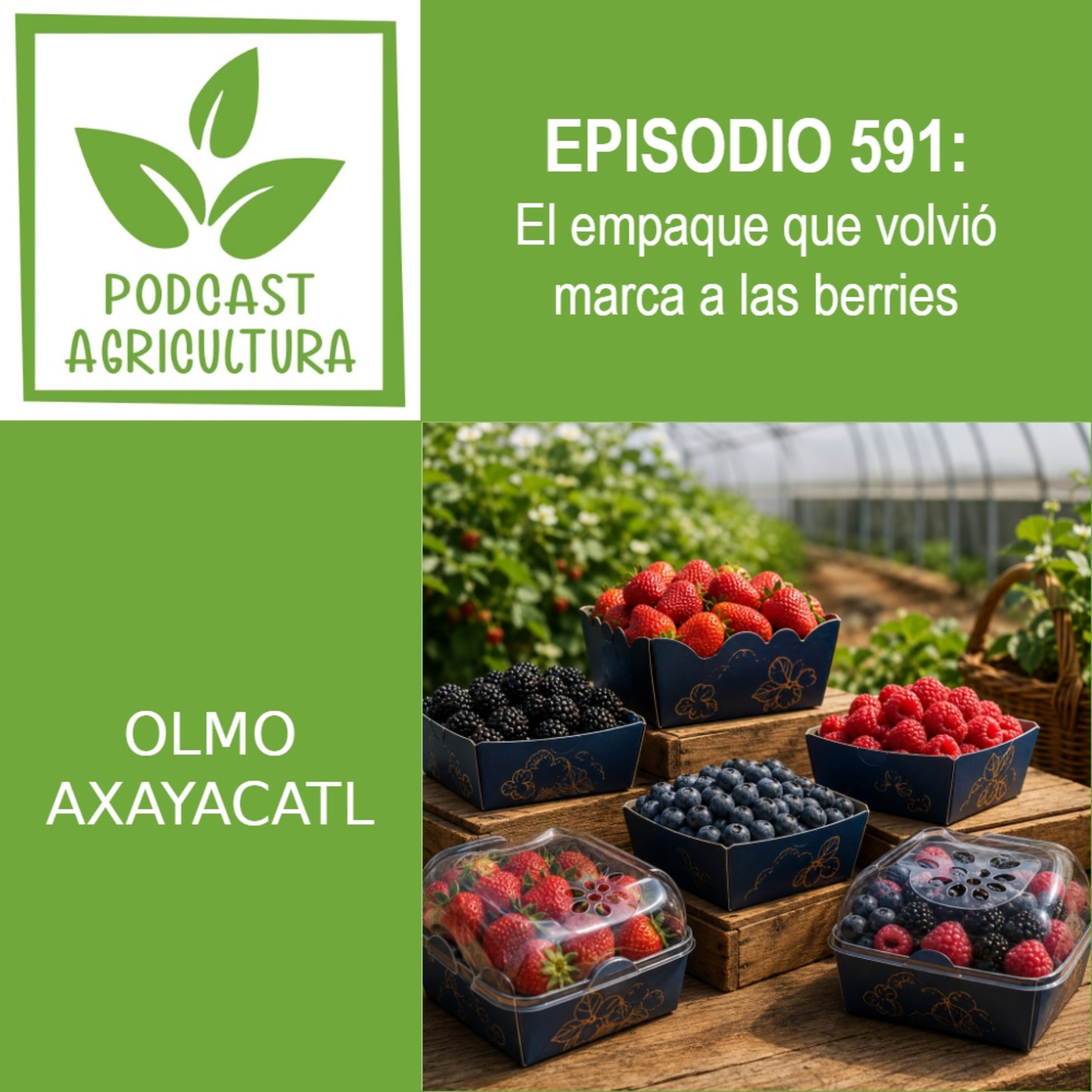 591 El empaque que volvió marca a las berries episode artwork