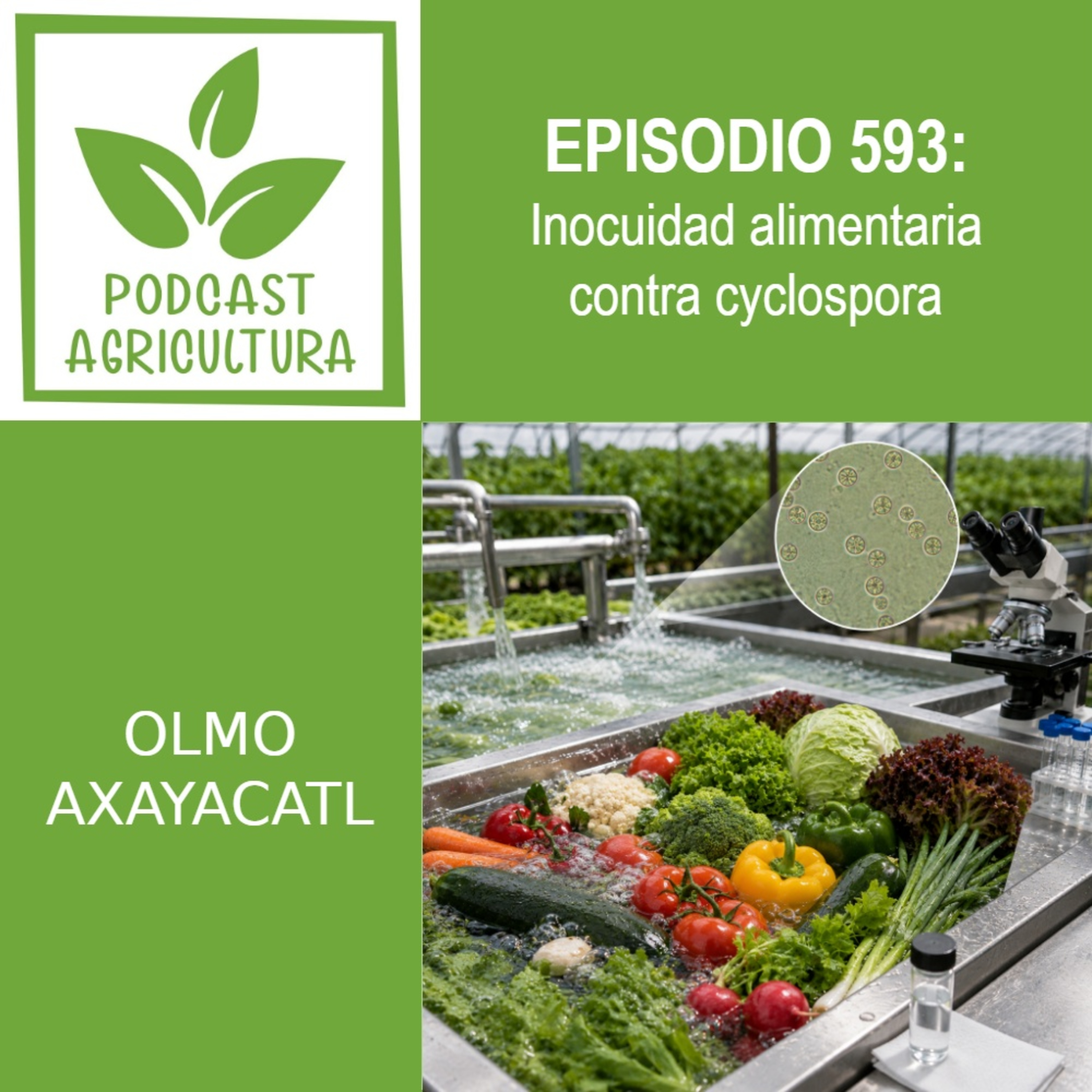 593 Inocuidad alimentaria contra cyclospora
