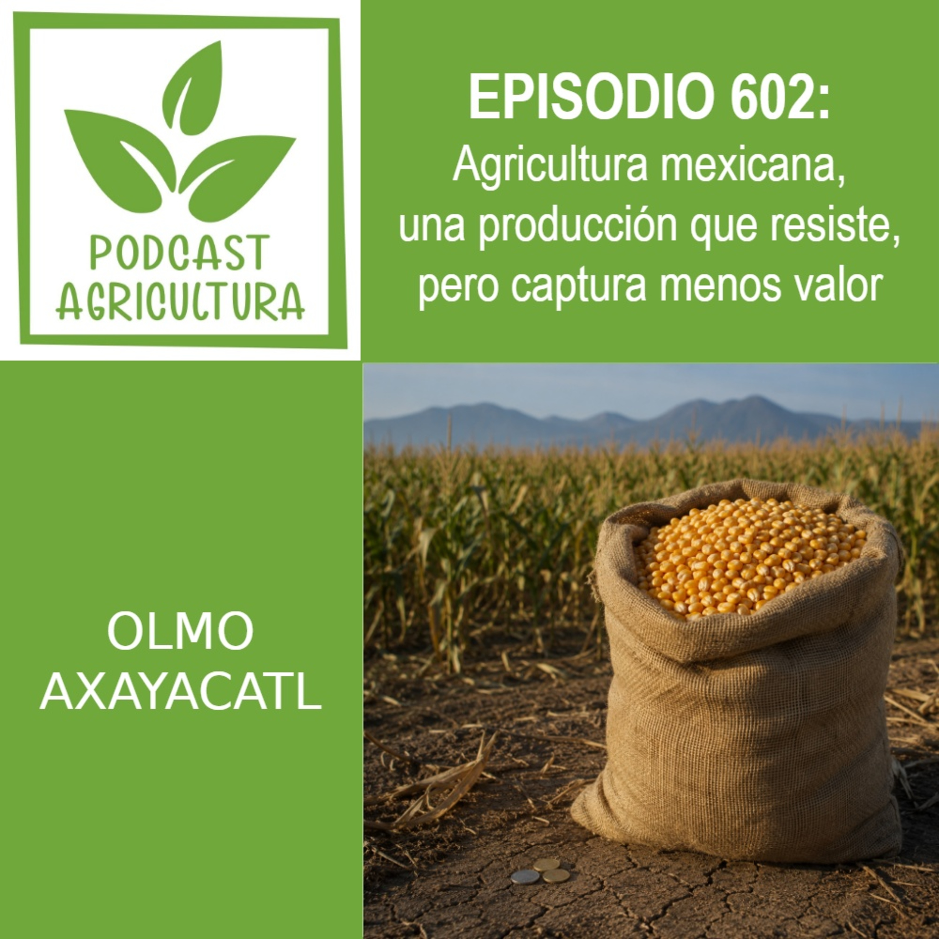 602 Agricultura mexicana, una producción que resiste, pero captura menos valor episode artwork