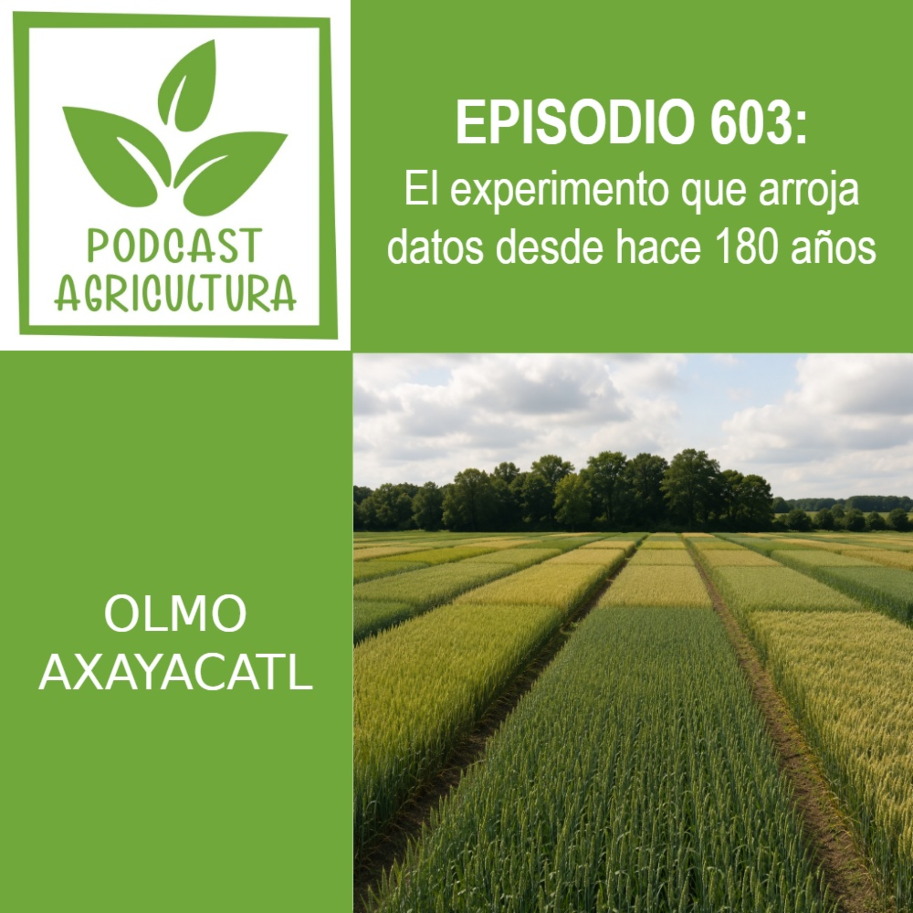 603 El experimento que arroja datos desde hace 180 años episode artwork