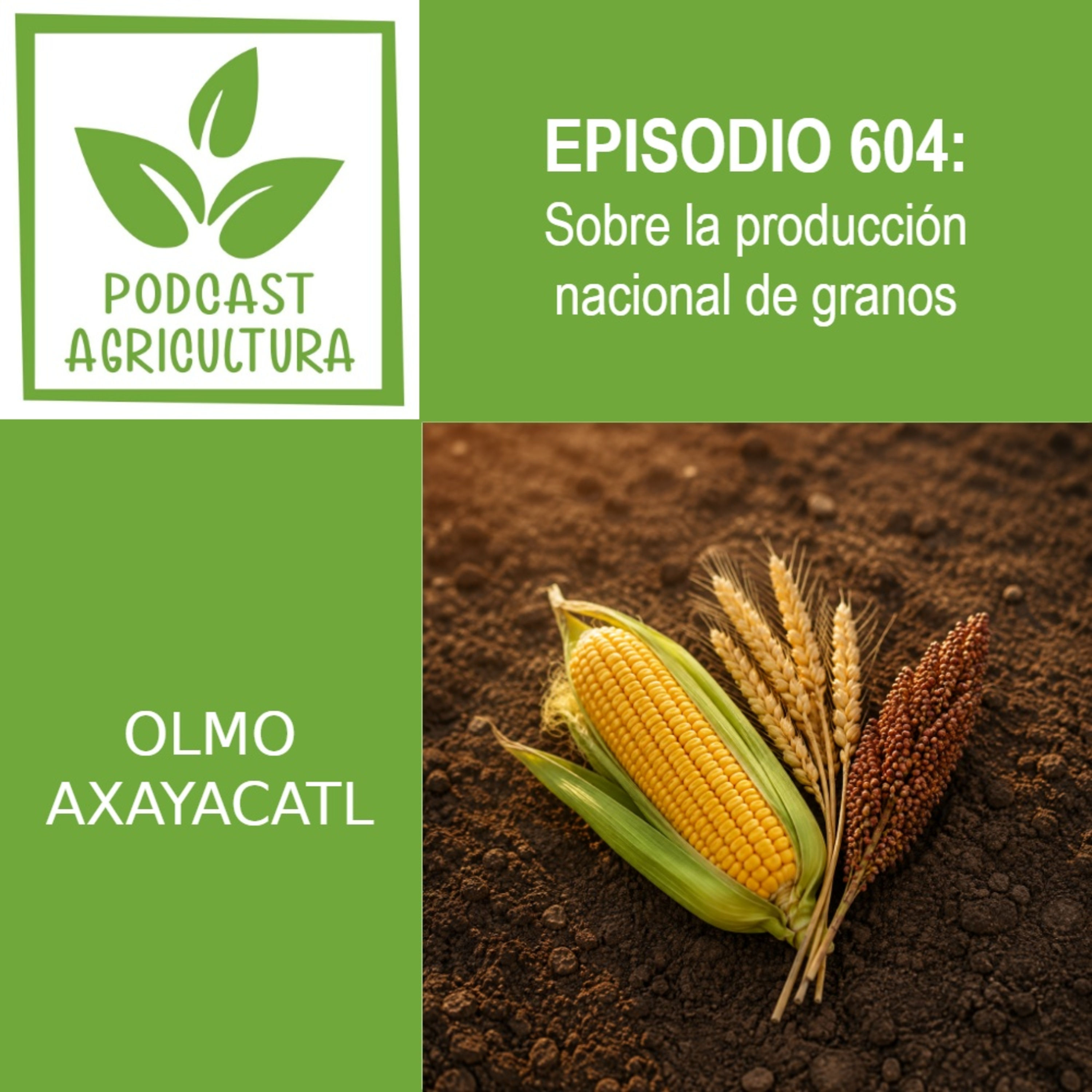 604 Sobre la producción nacional de granos episode artwork