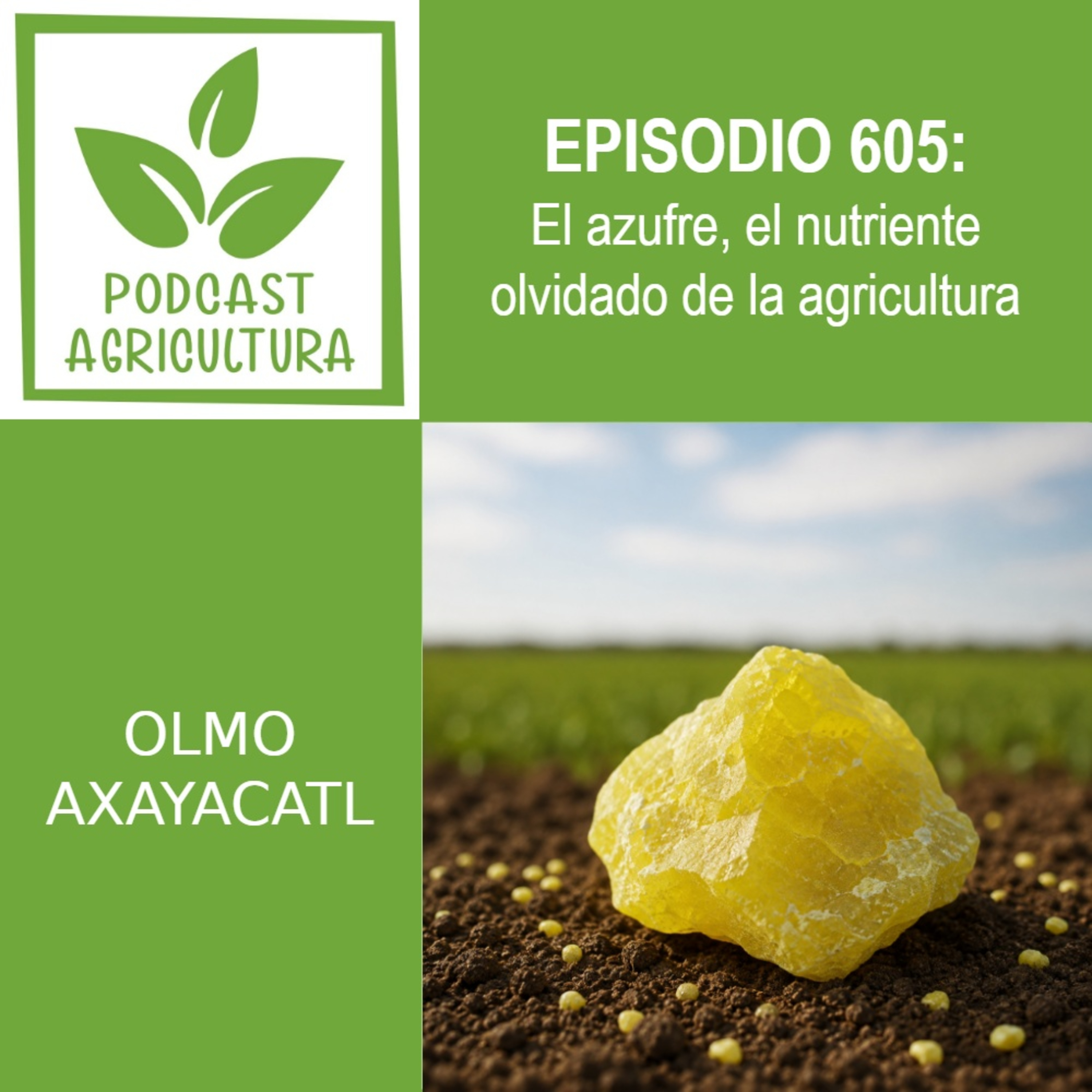 605 El azufre, el nutriente olvidado de la agricultura episode artwork