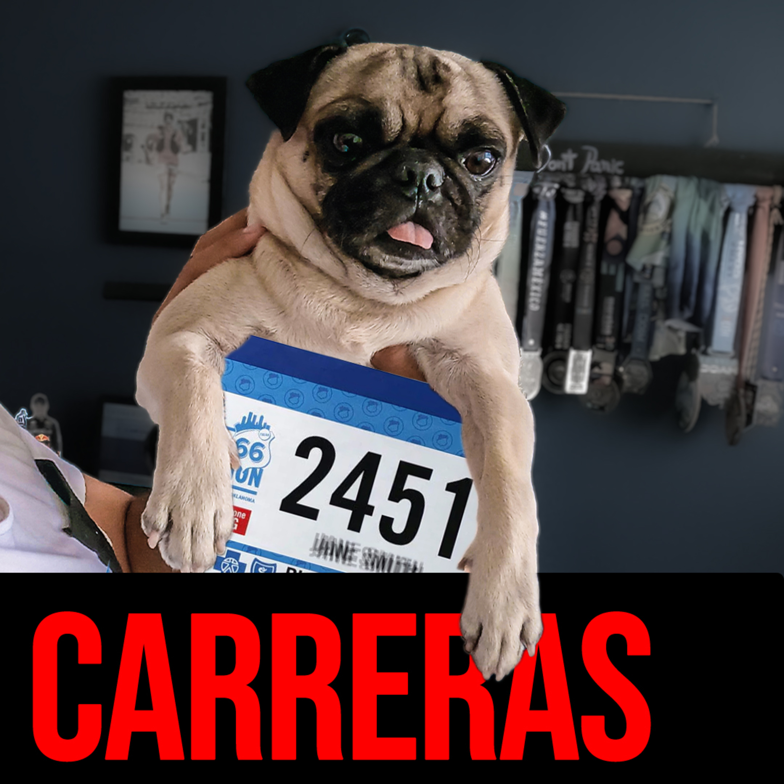 Portada de CorreFerCorre