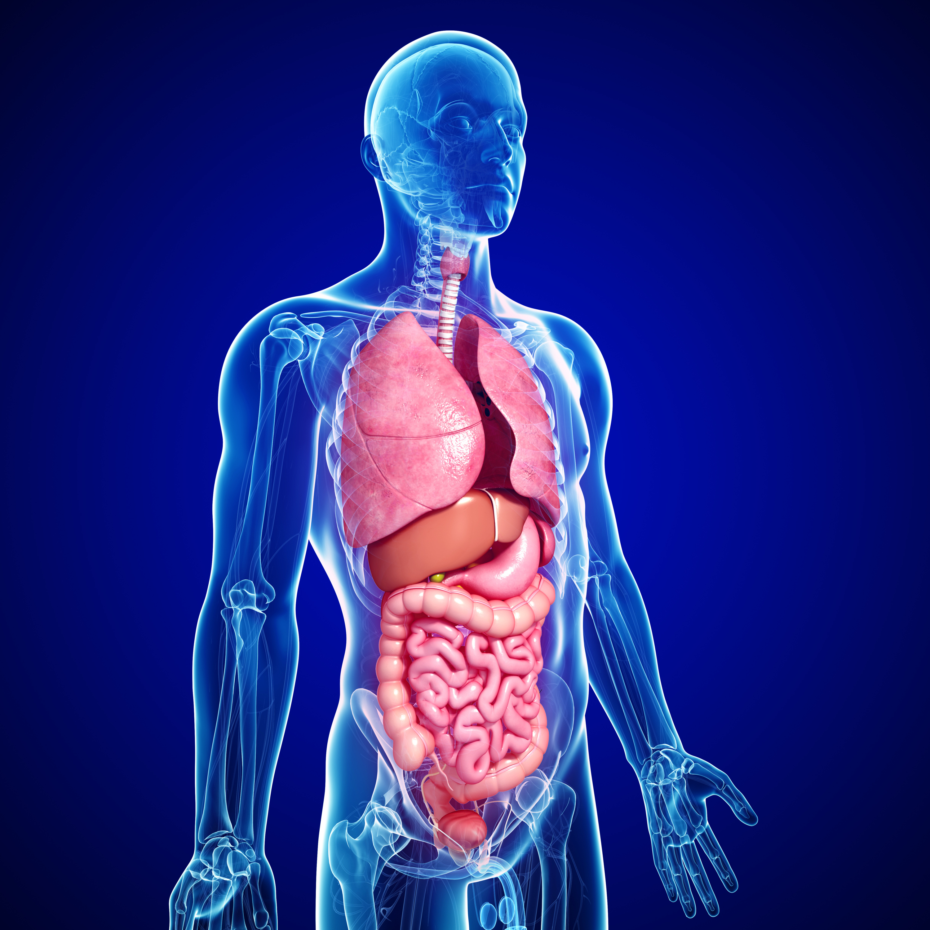 Arcturian Digestive System Healing episode artwork