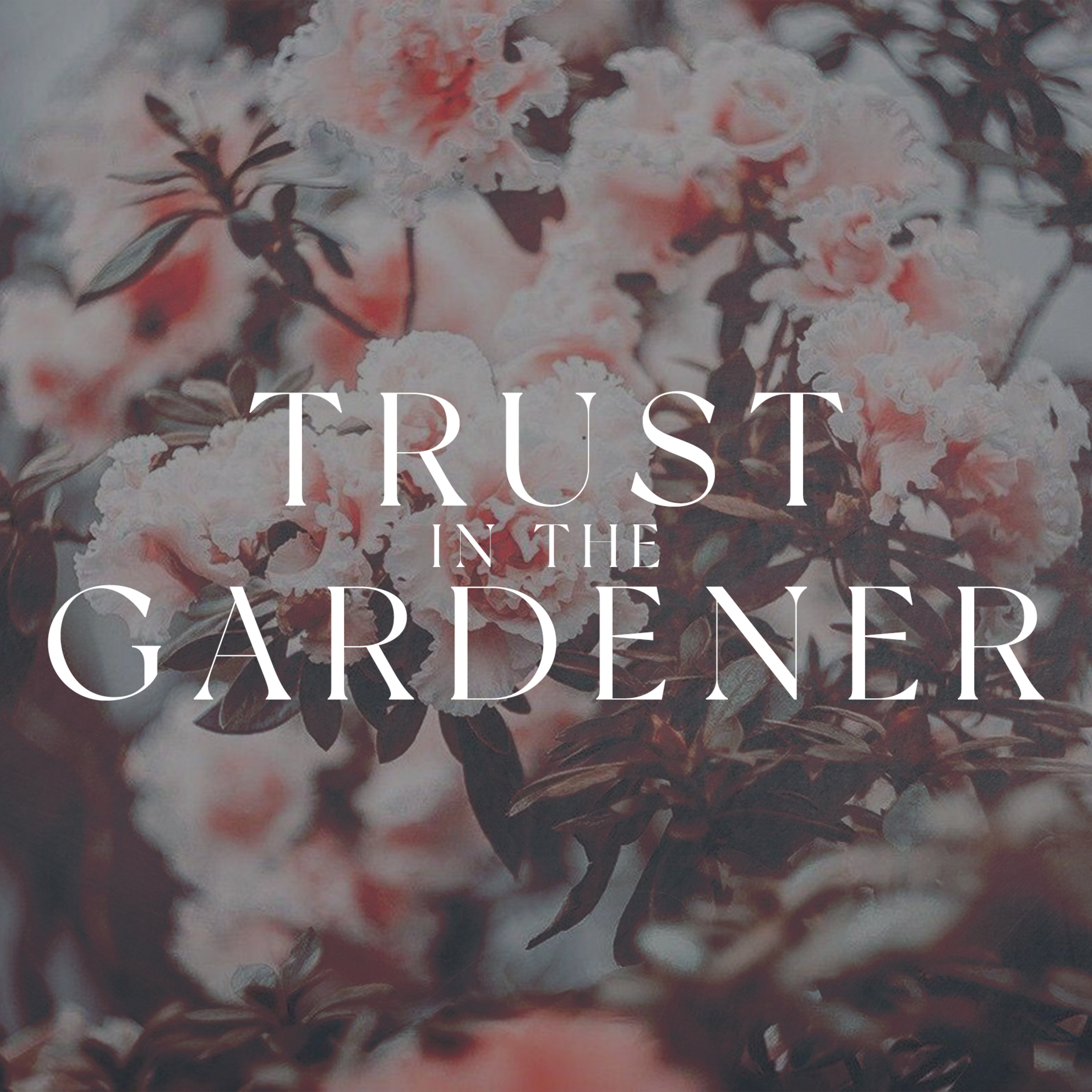 Trust in the Gardener episode artwork