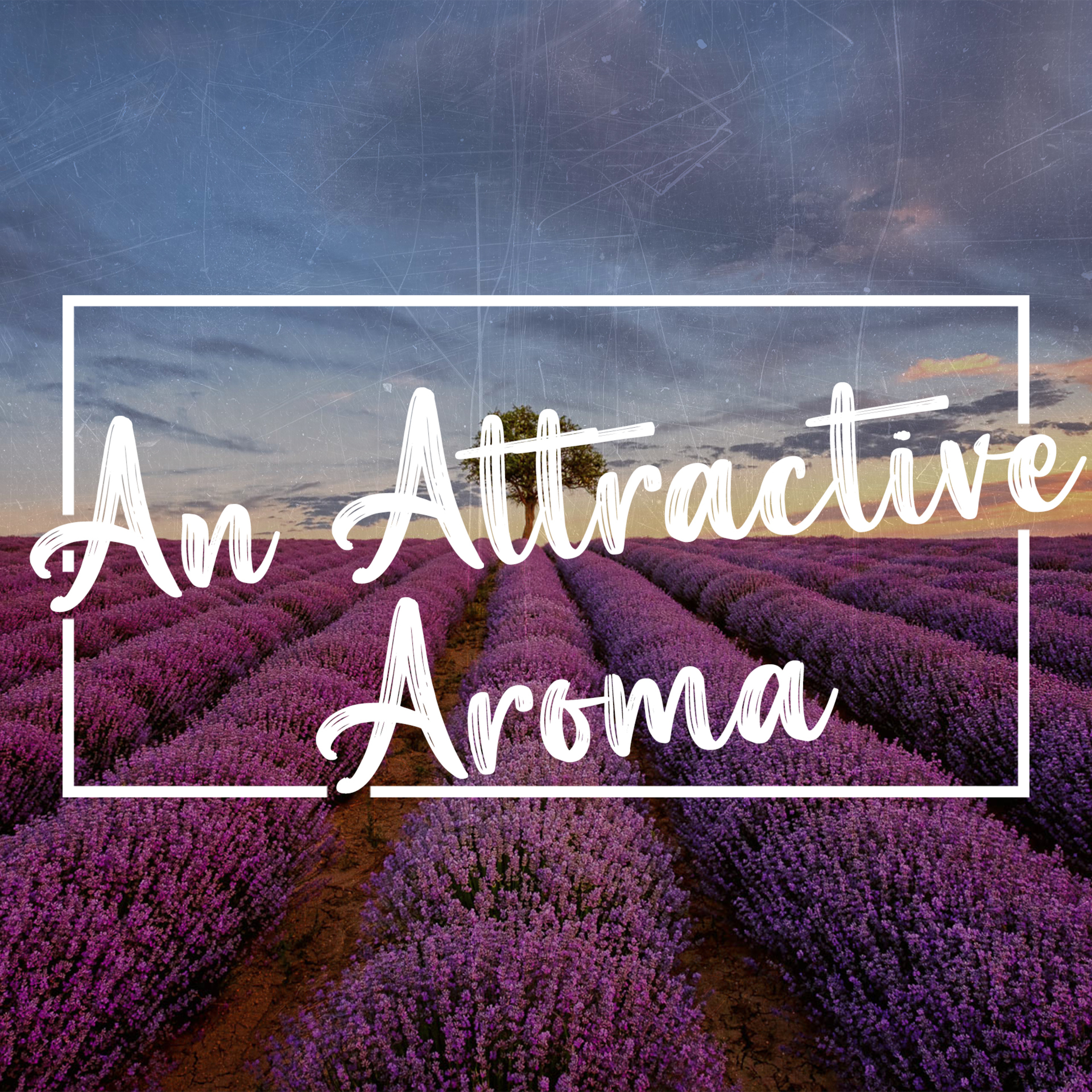 An Attractive Aroma episode artwork