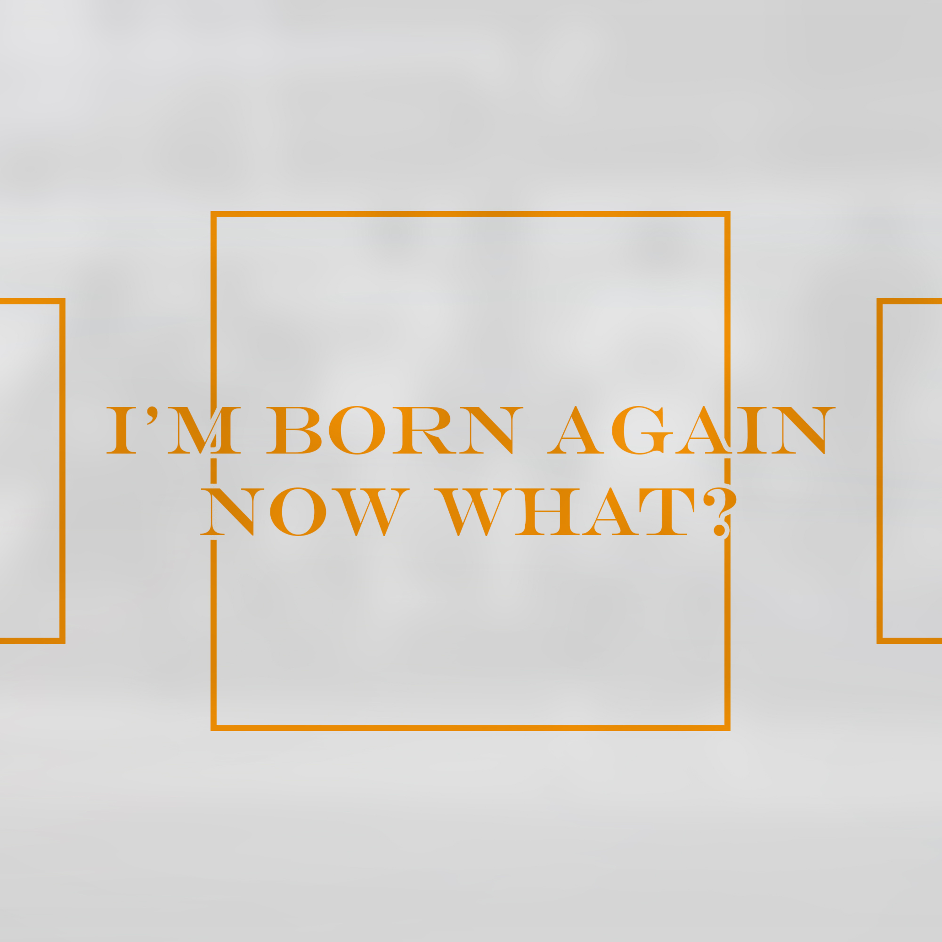 I'm Born Again, Now What? episode artwork