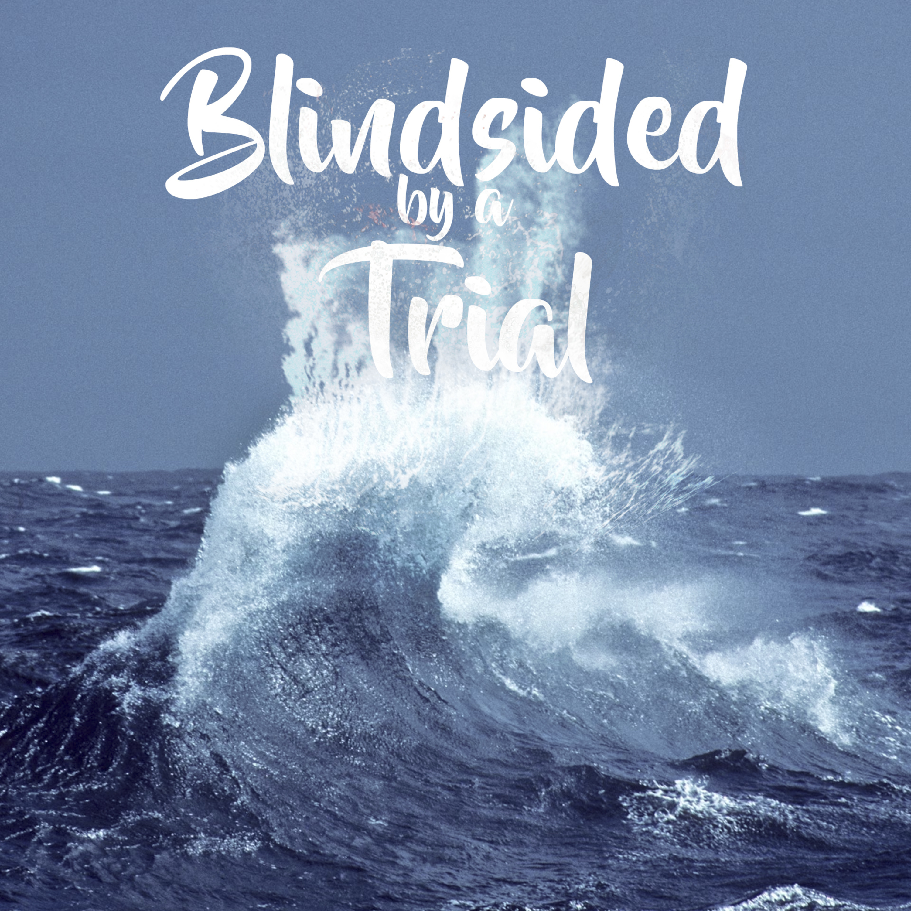 Blindsided by a Trial episode artwork
