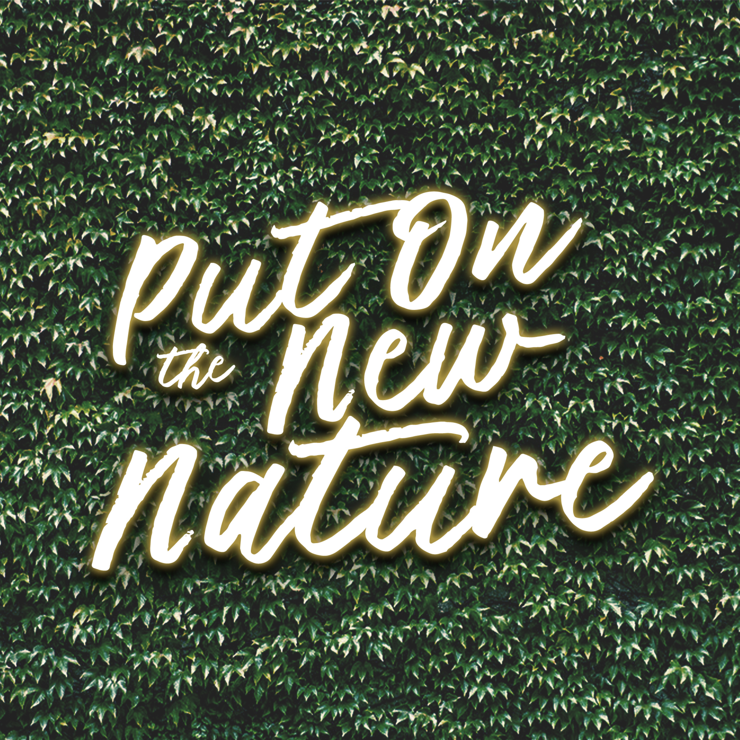 Pun On the New Nature episode artwork