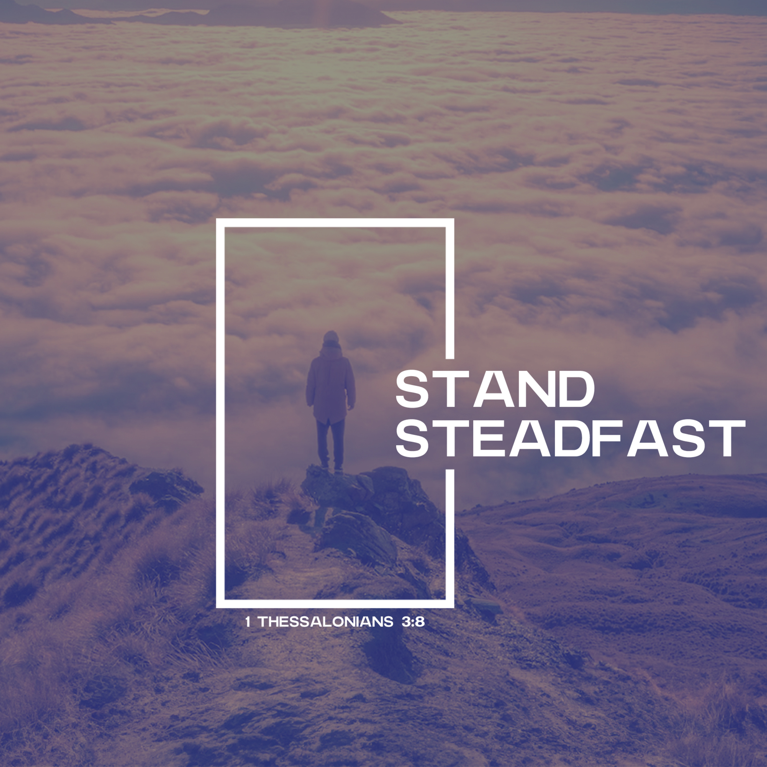 Stand Steadfast episode artwork