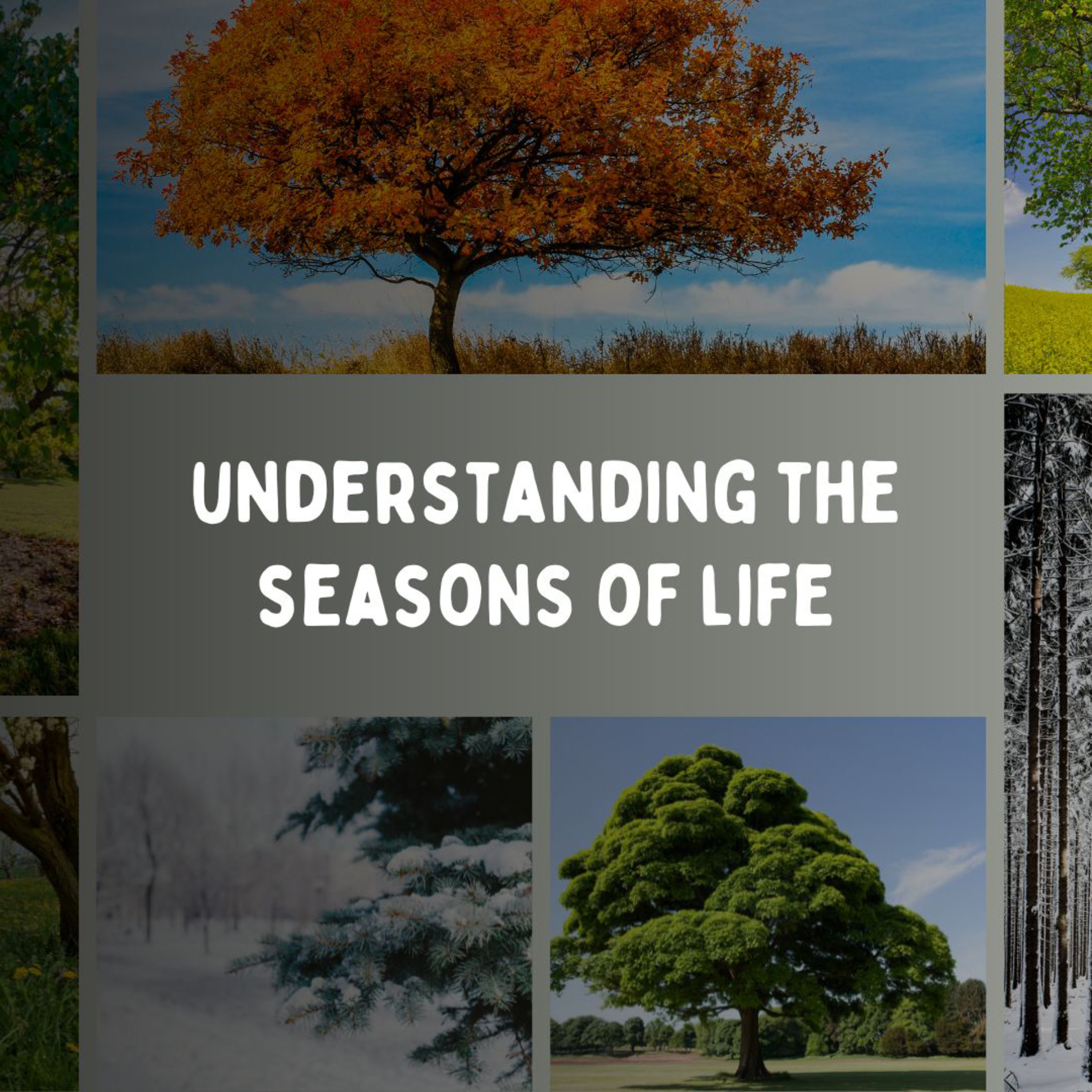 Understanding the Seasons of Life episode artwork